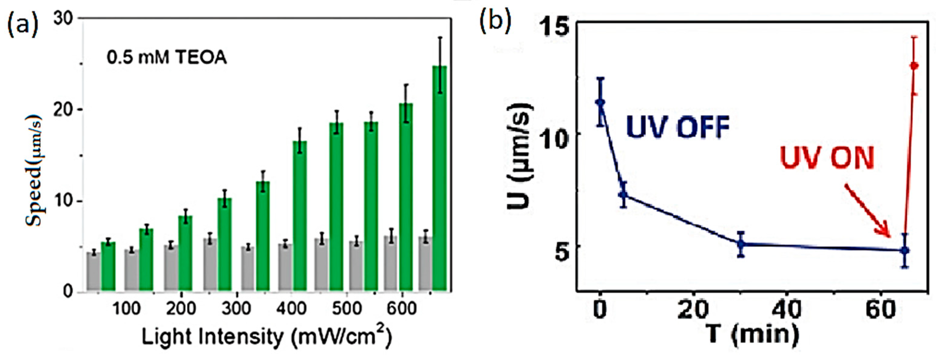Molecules 29 01154 g010