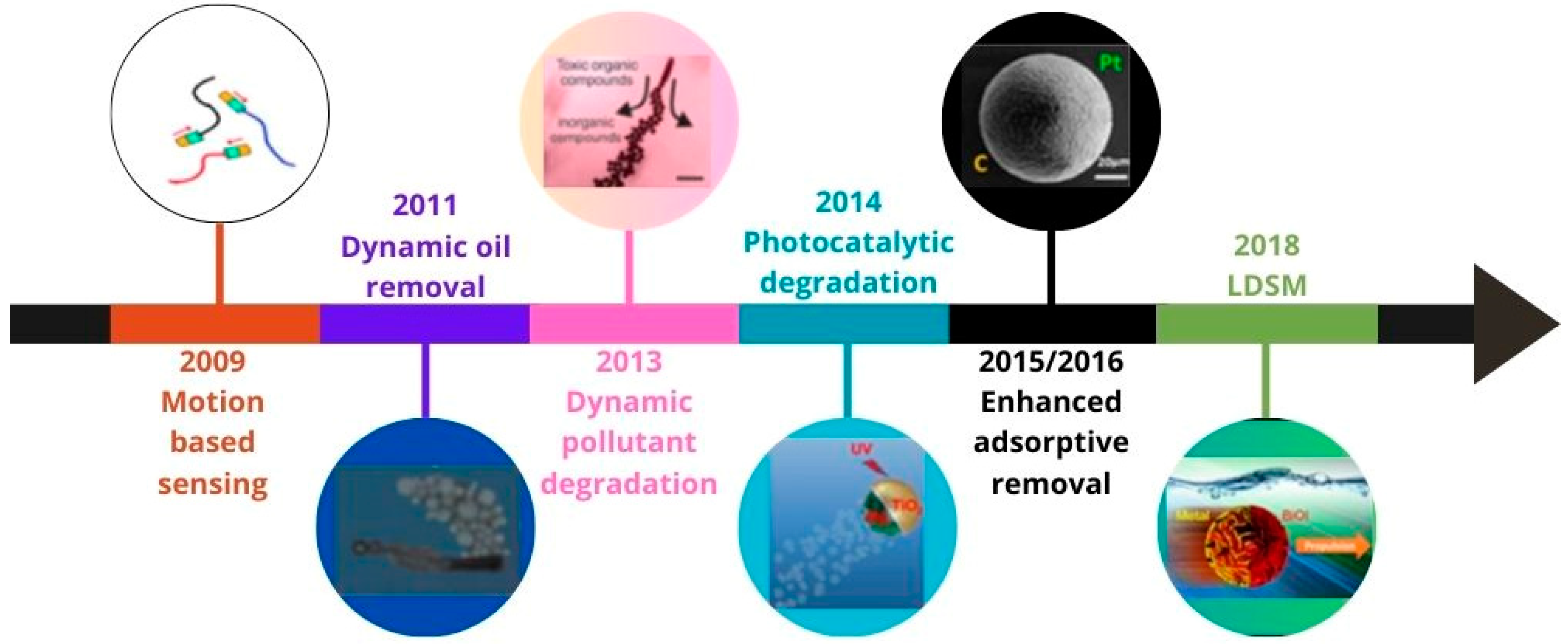 Molecules 29 01154 g013