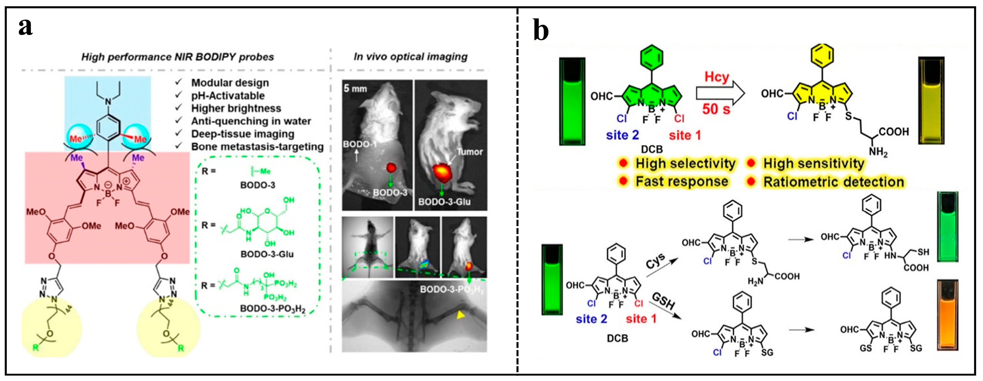 Molecules 29 01168 g001