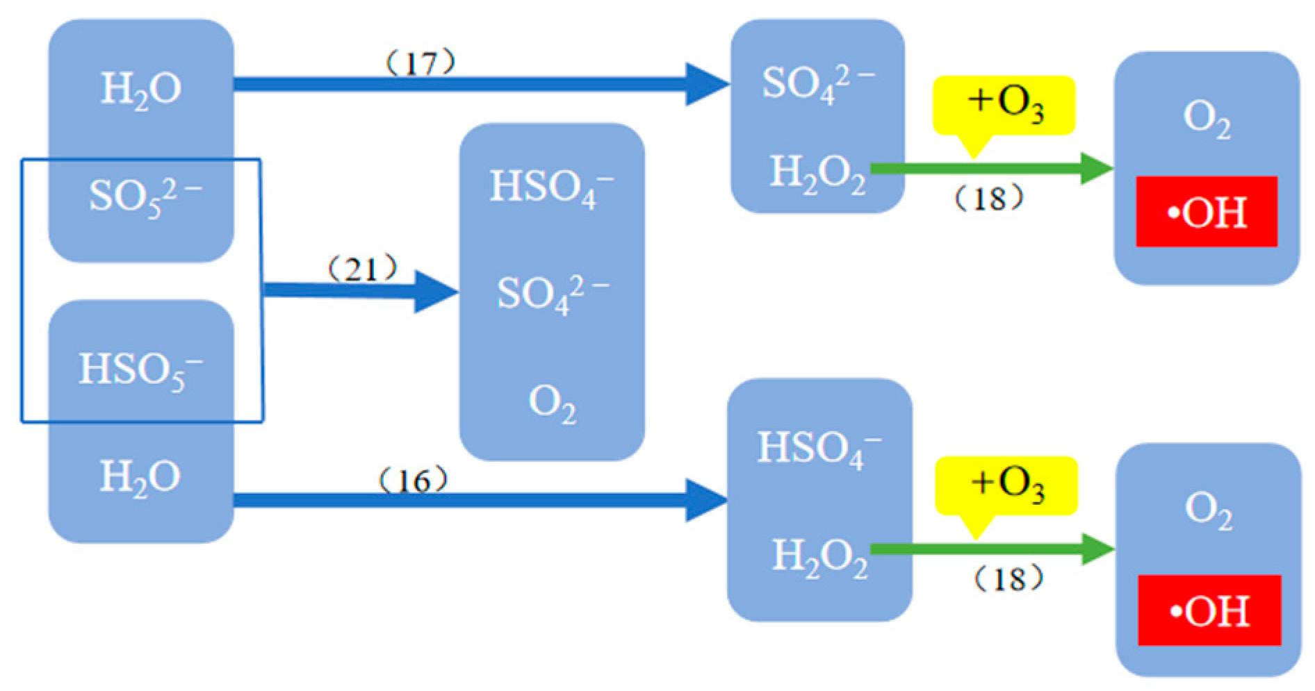 Molecules 29 01170 g003