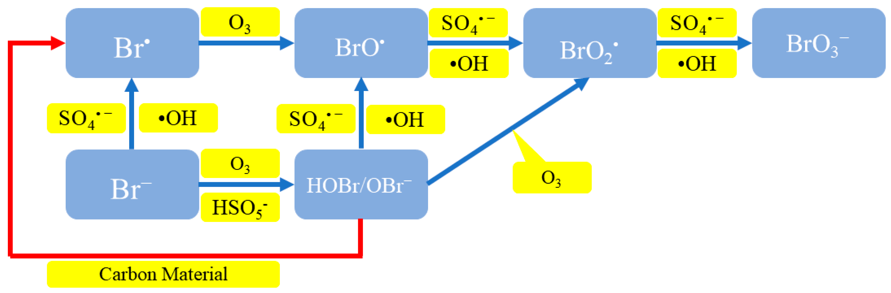 Molecules 29 01170 g005