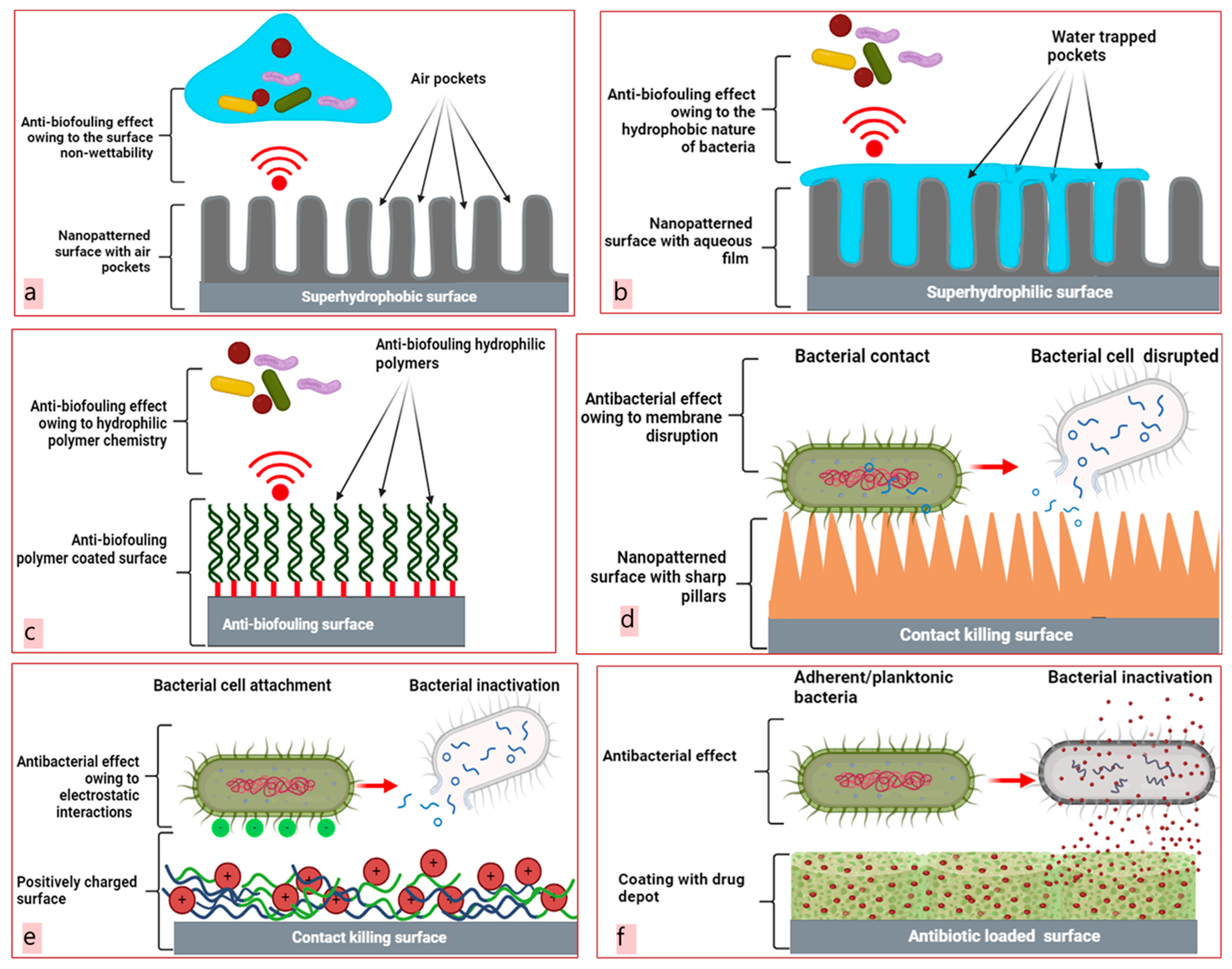 Molecules 29 01172 g002