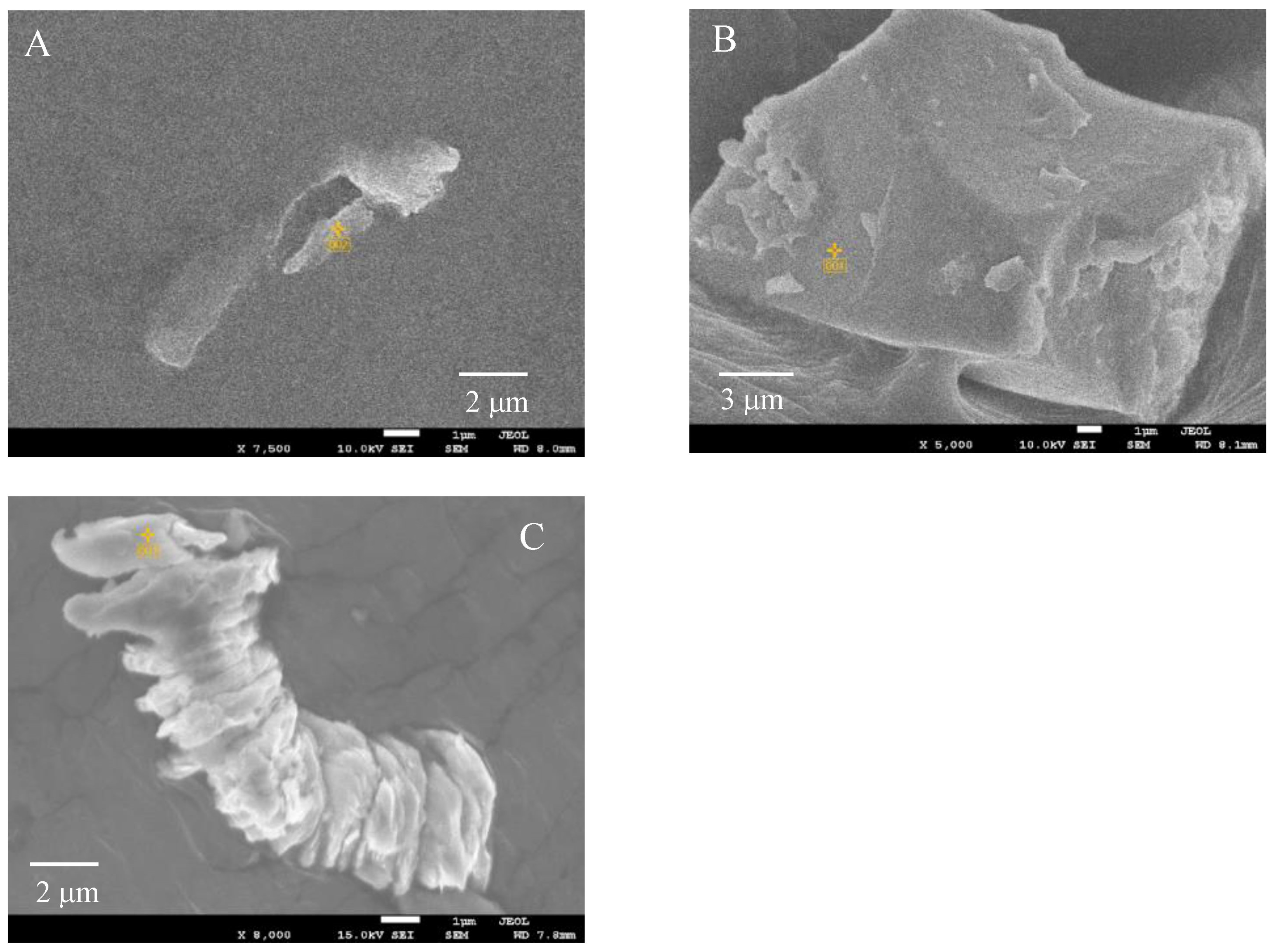 Molecules 29 01173 g001 Molecules 29 01173 g001