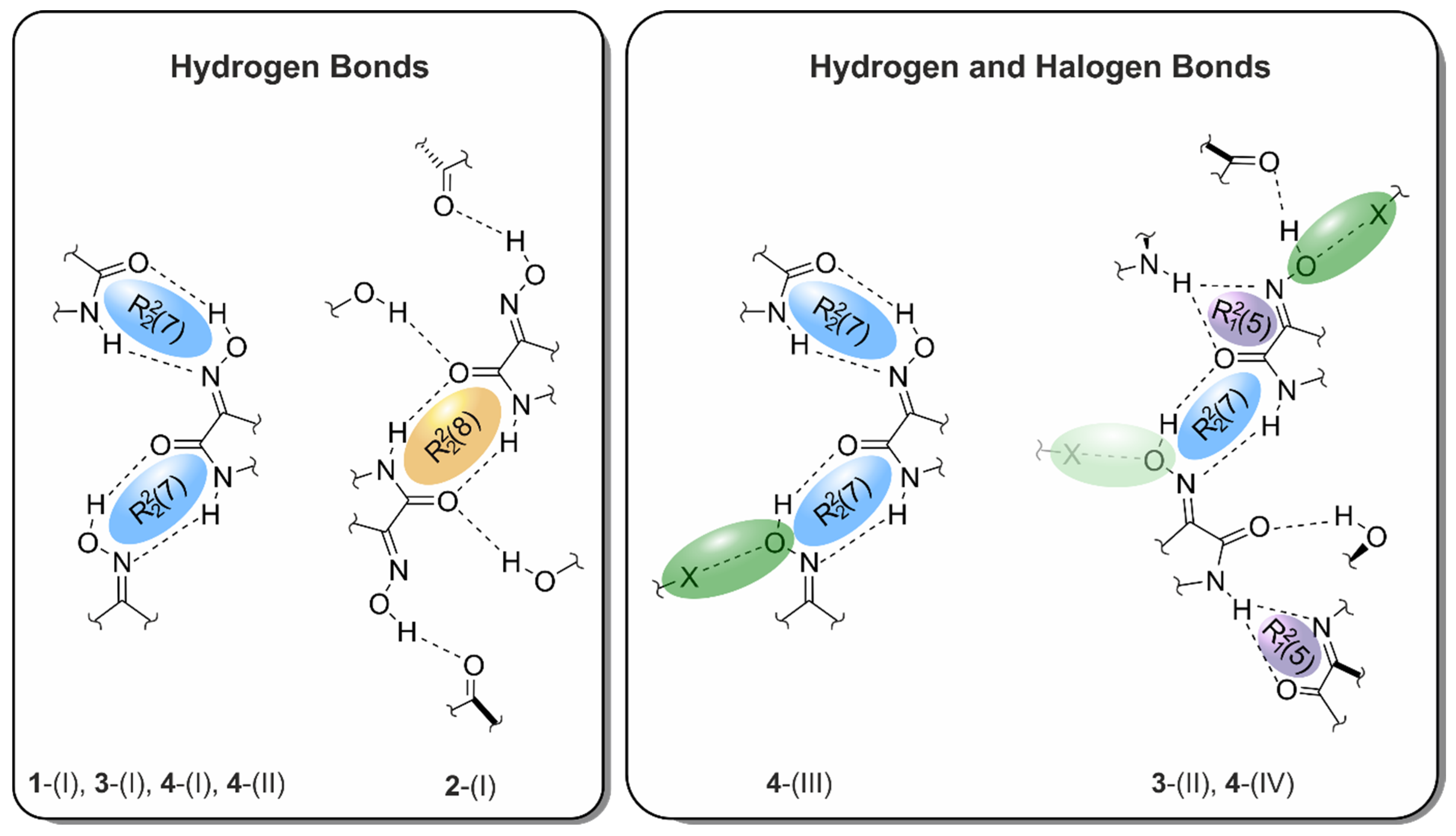 Molecules 29 01174 g004