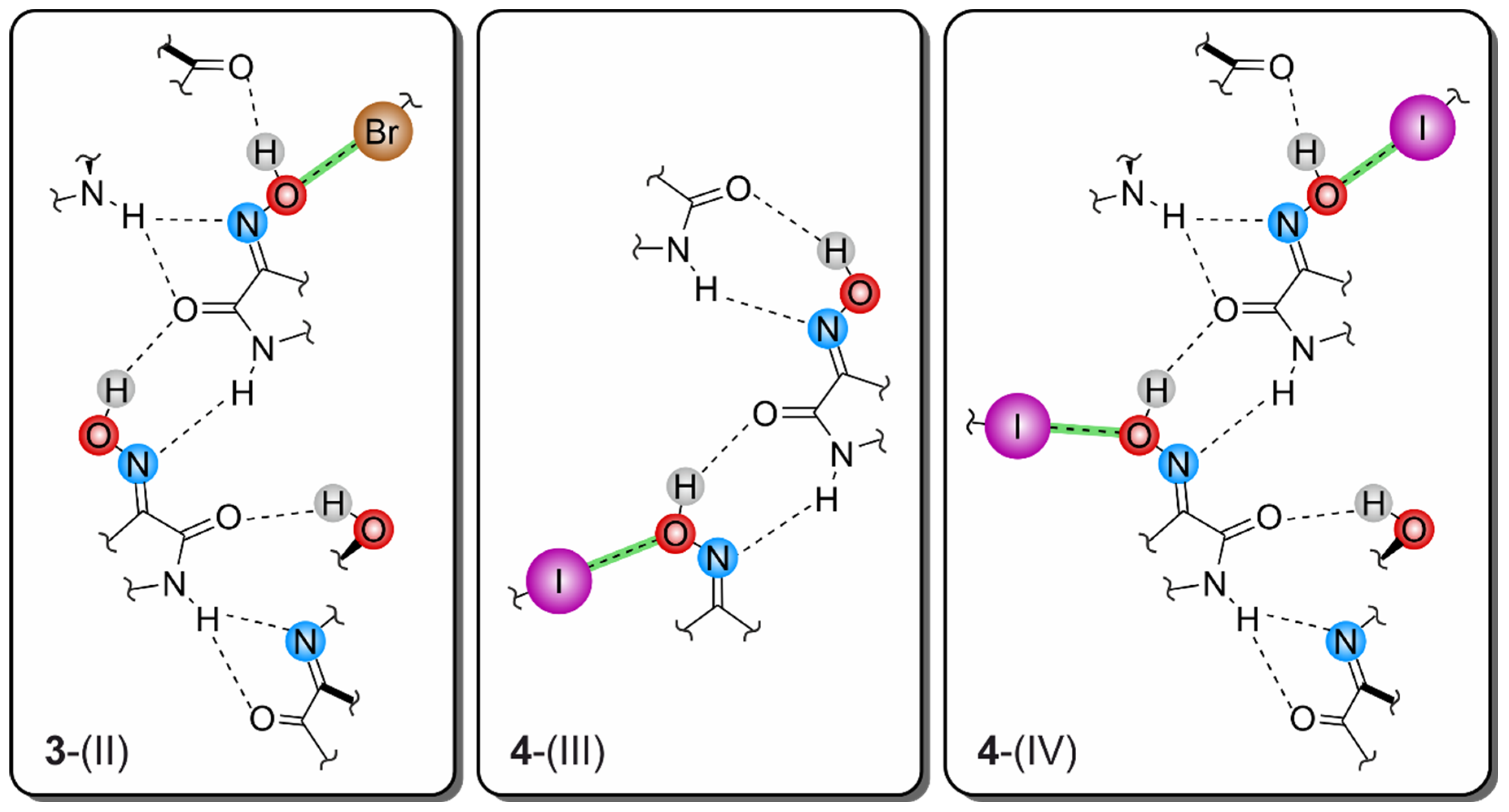Molecules 29 01174 g026