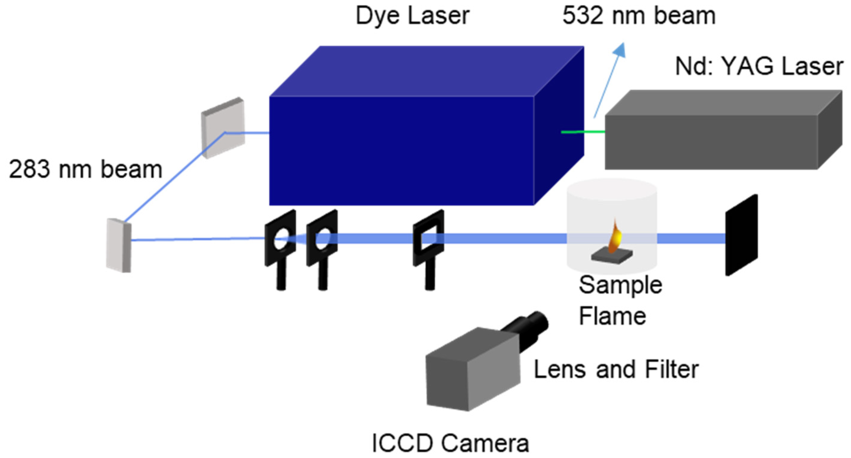 Molecules 29 01175 g011