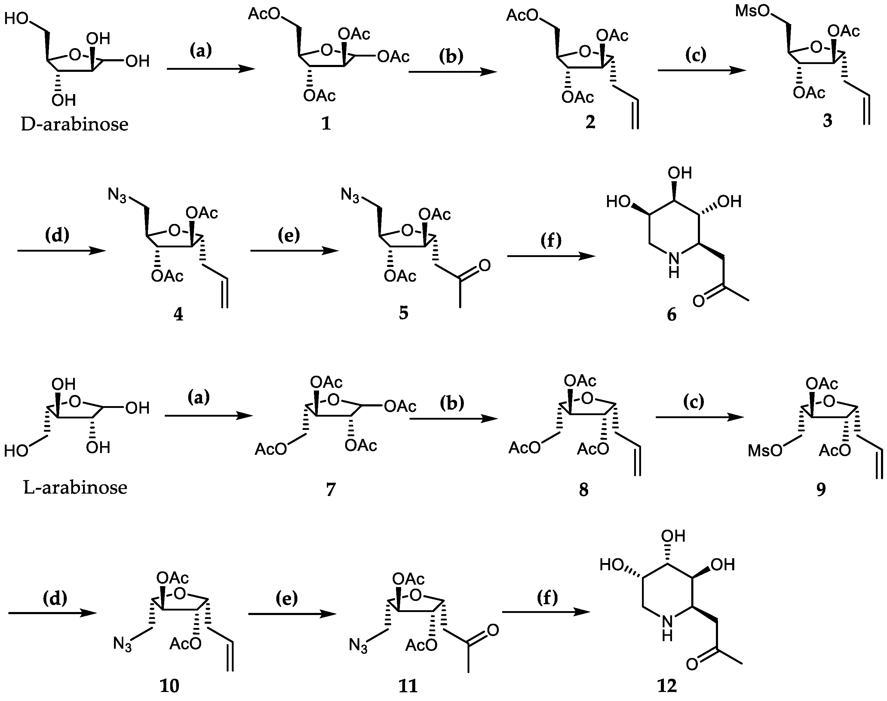Molecules 29 01179 sch001