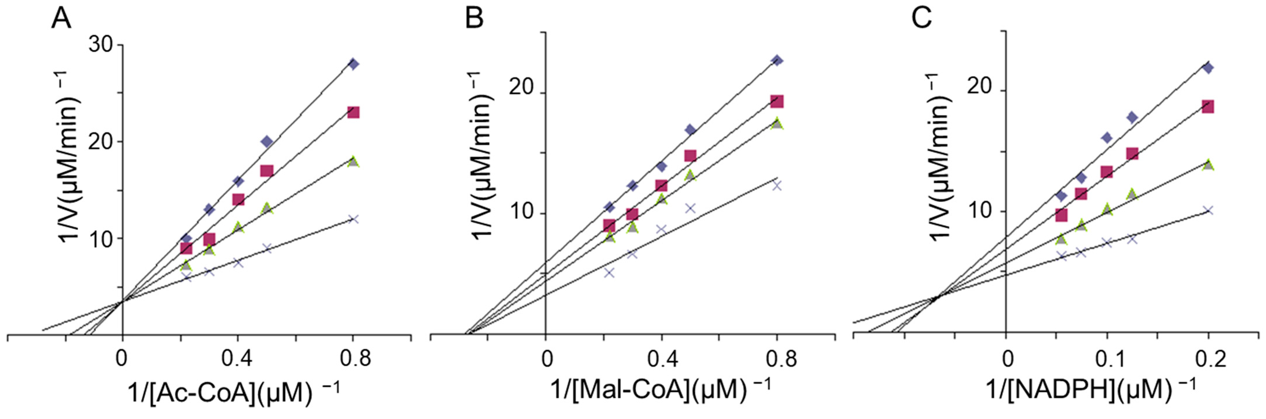 Molecules 29 01180 g004 Molecules 29 01180 g004