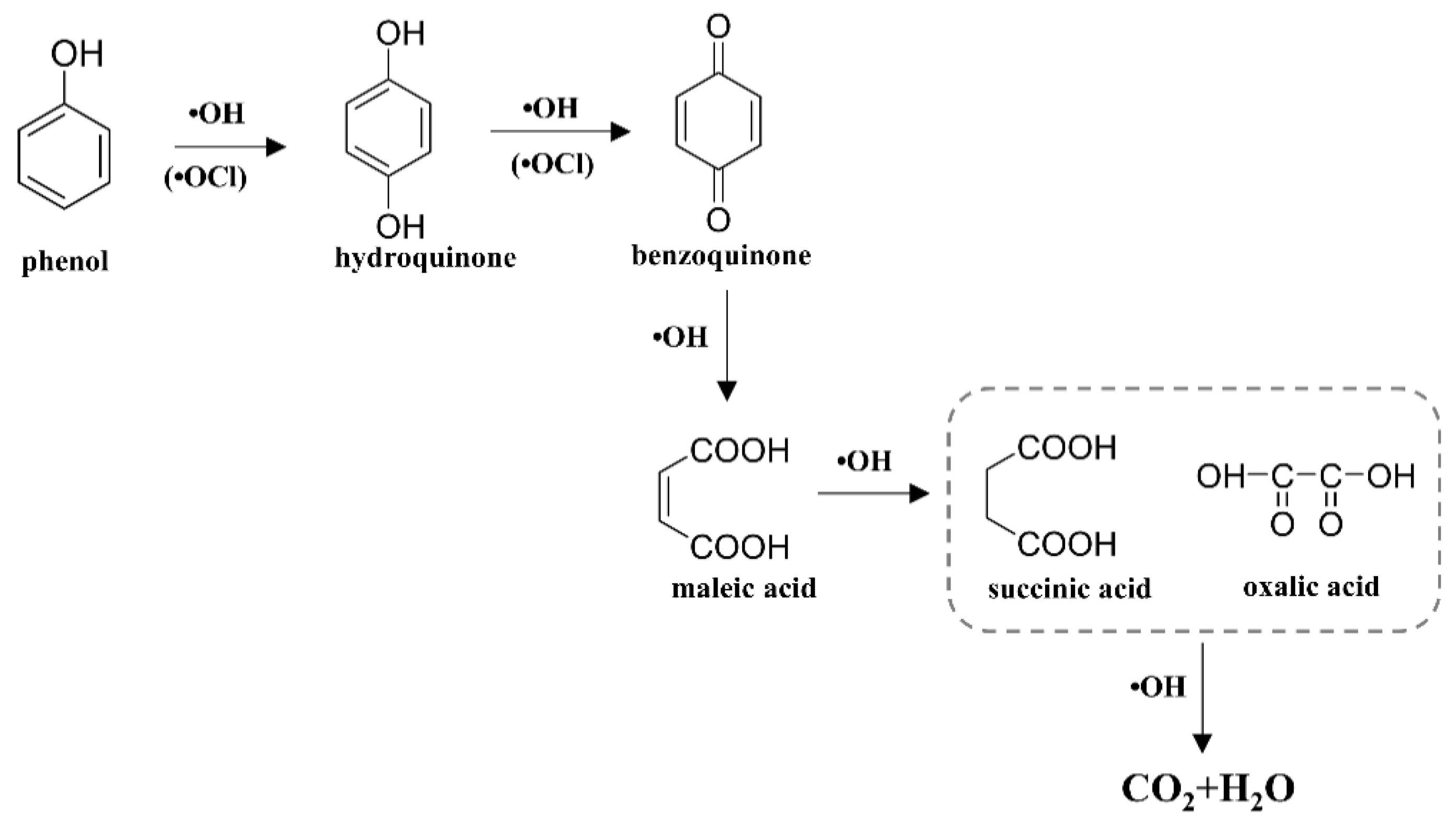 Molecules 29 01182 g007