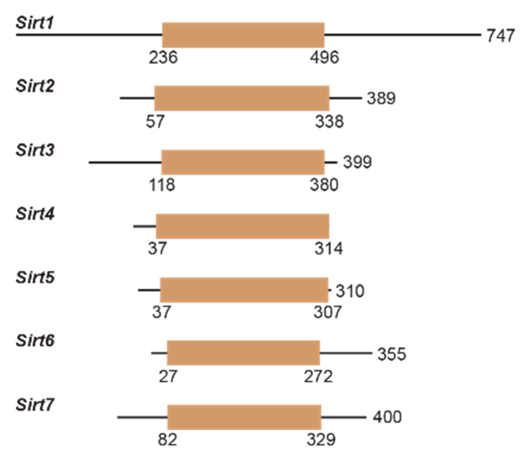 Molecules 29 01185 g003