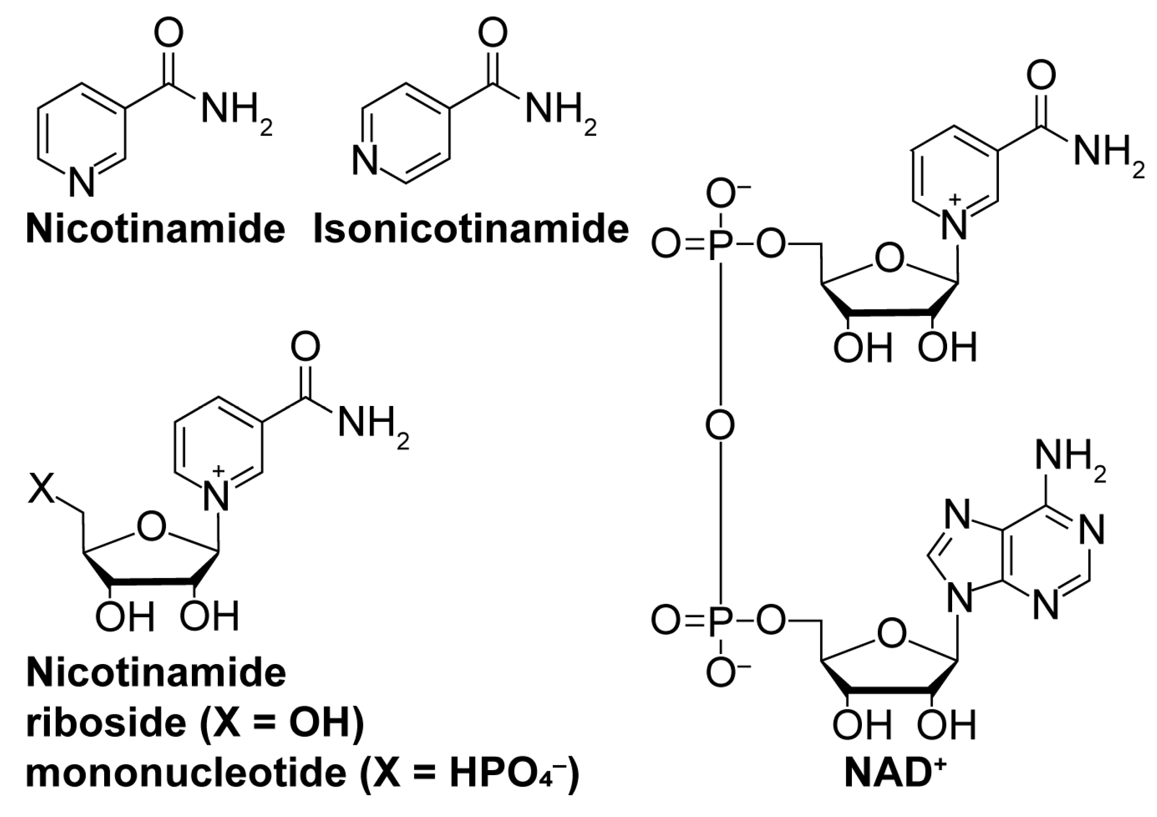 Molecules 29 01185 g004