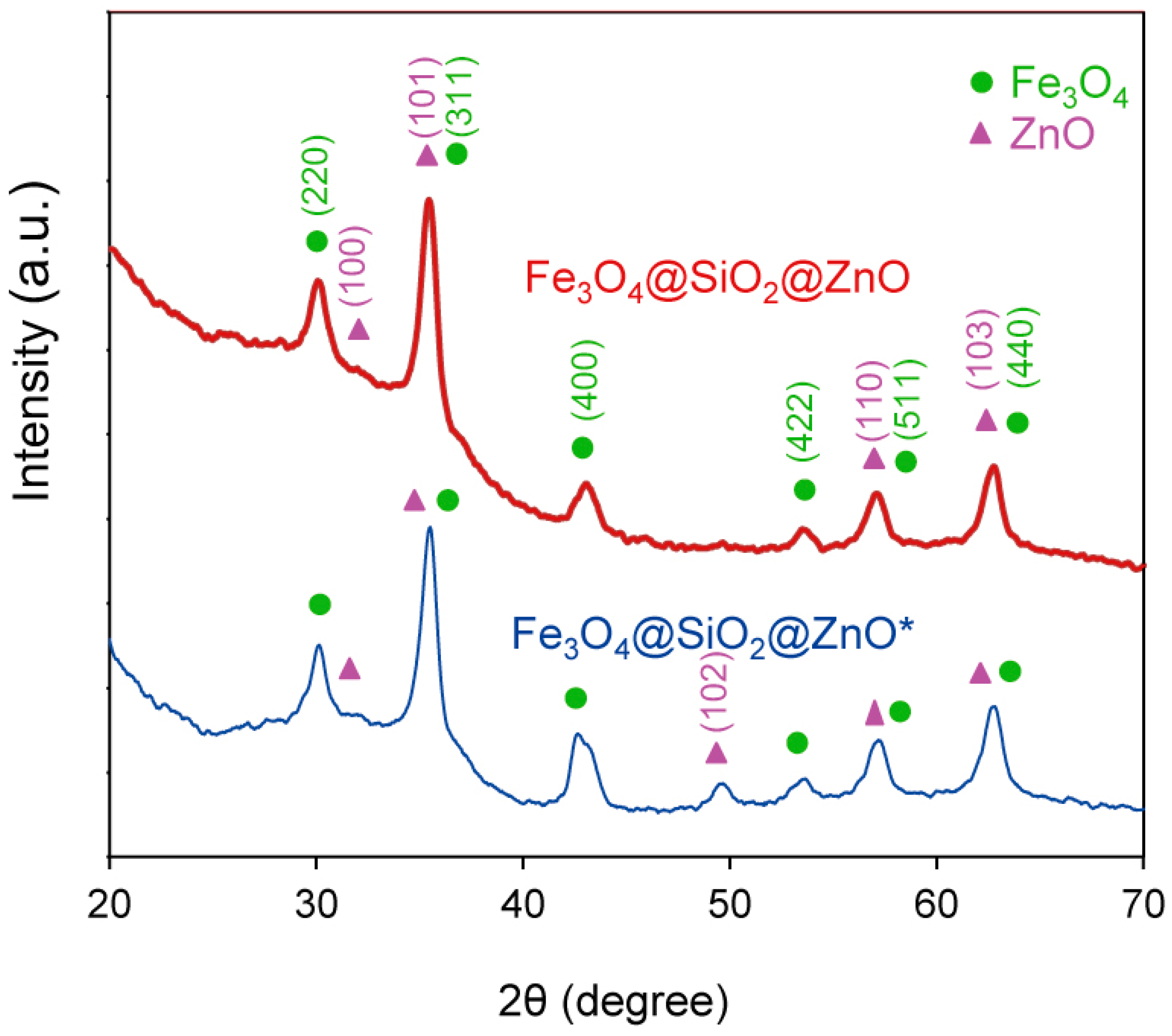Molecules 29 01190 g005
