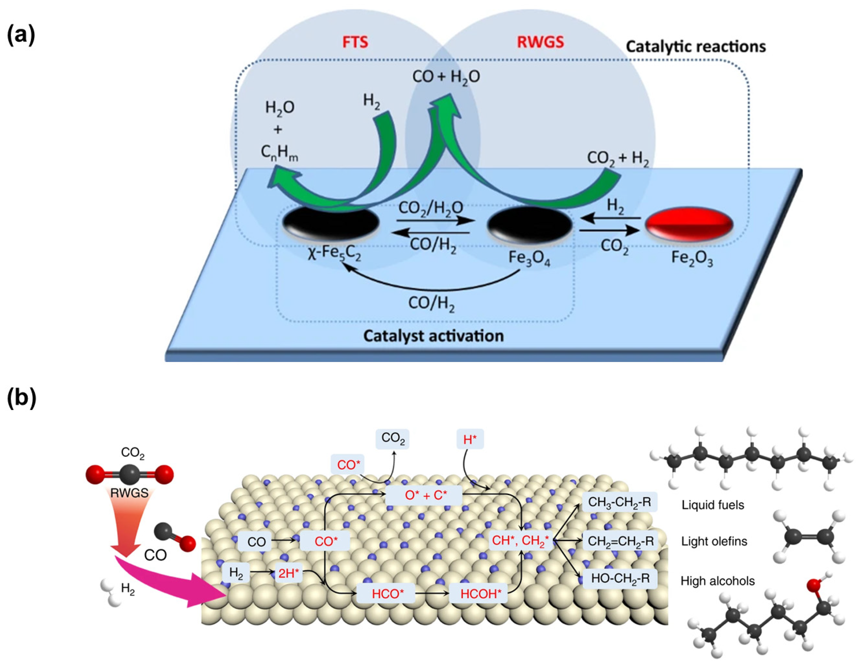 Molecules 29 01194 g001