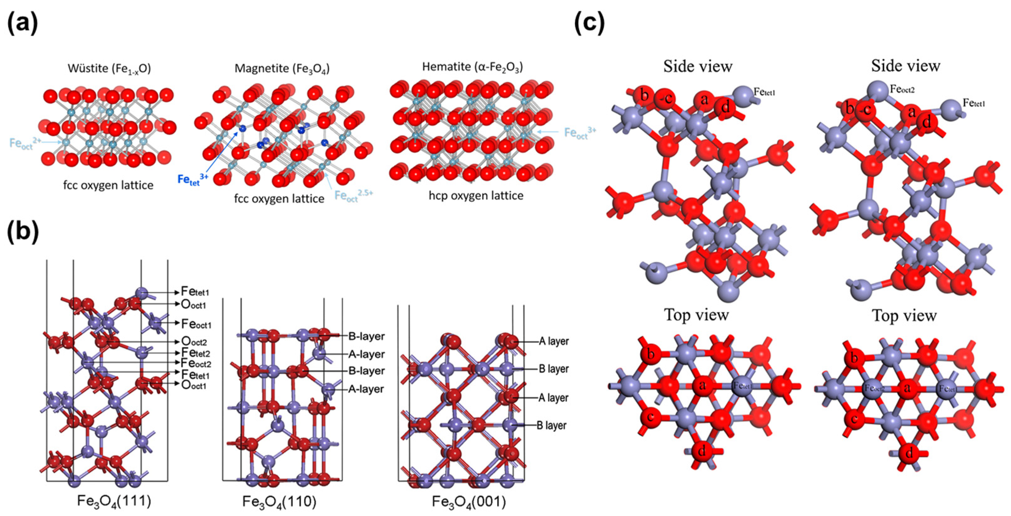 Molecules 29 01194 g004