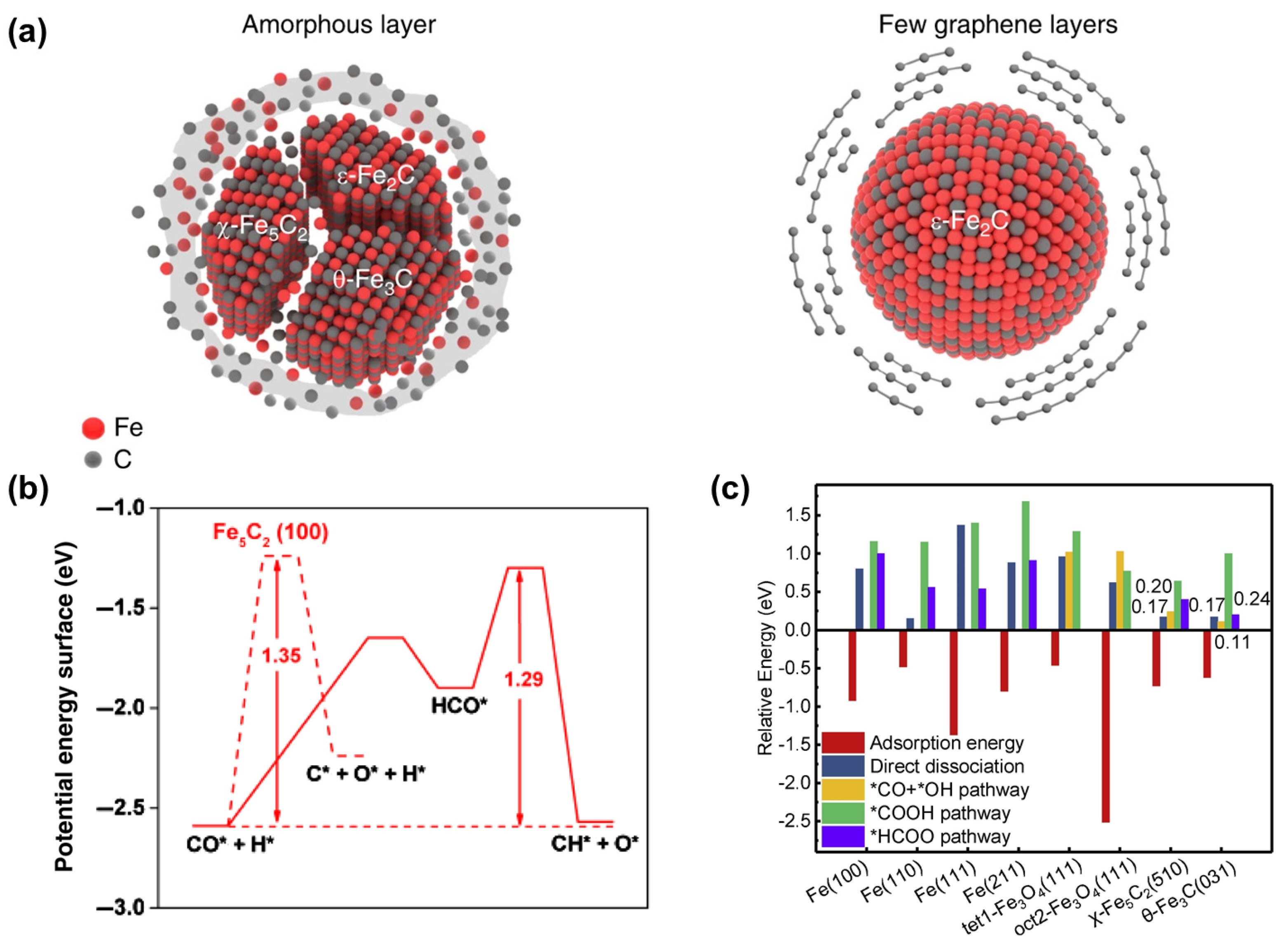 Molecules 29 01194 g005