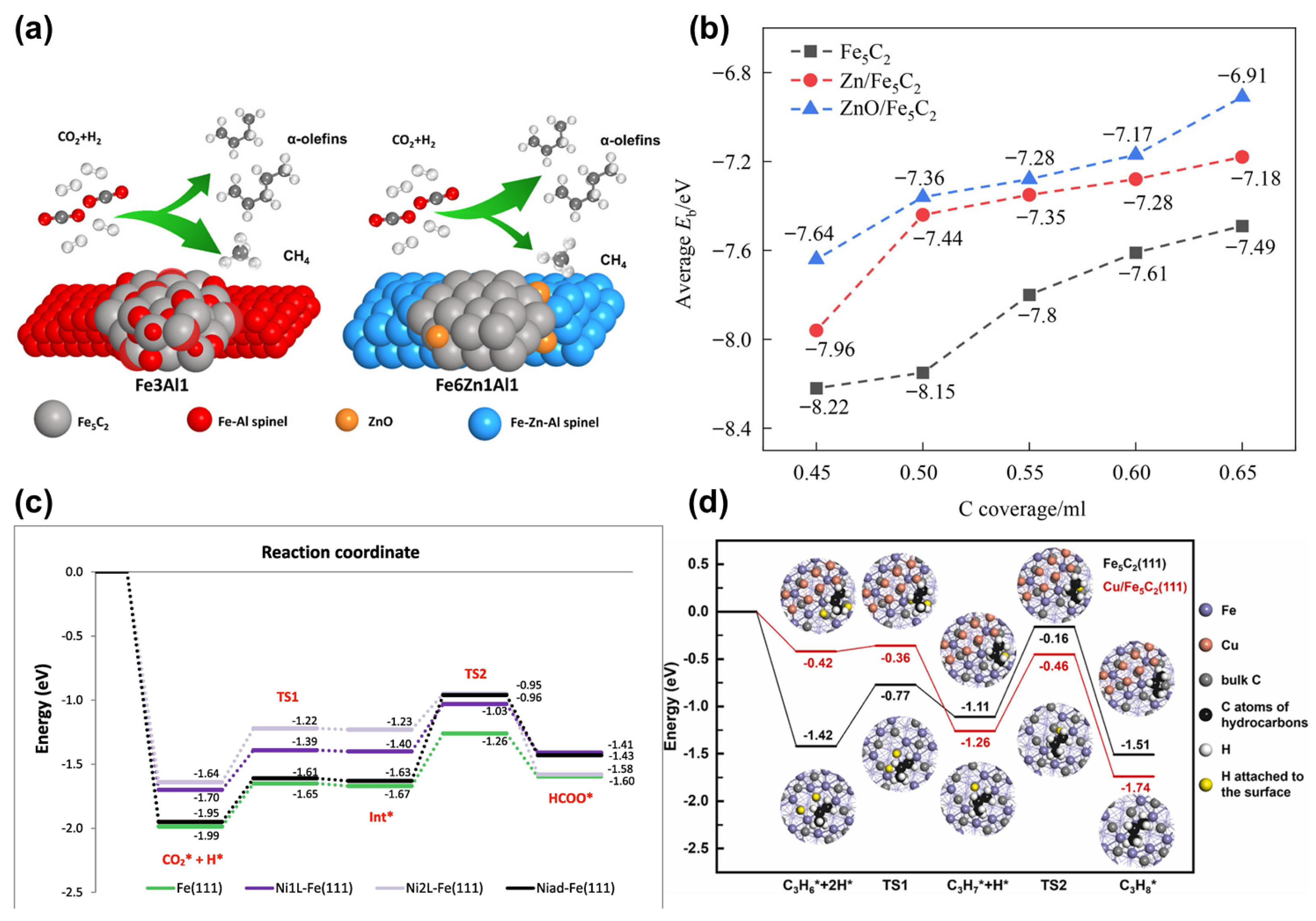 Molecules 29 01194 g009