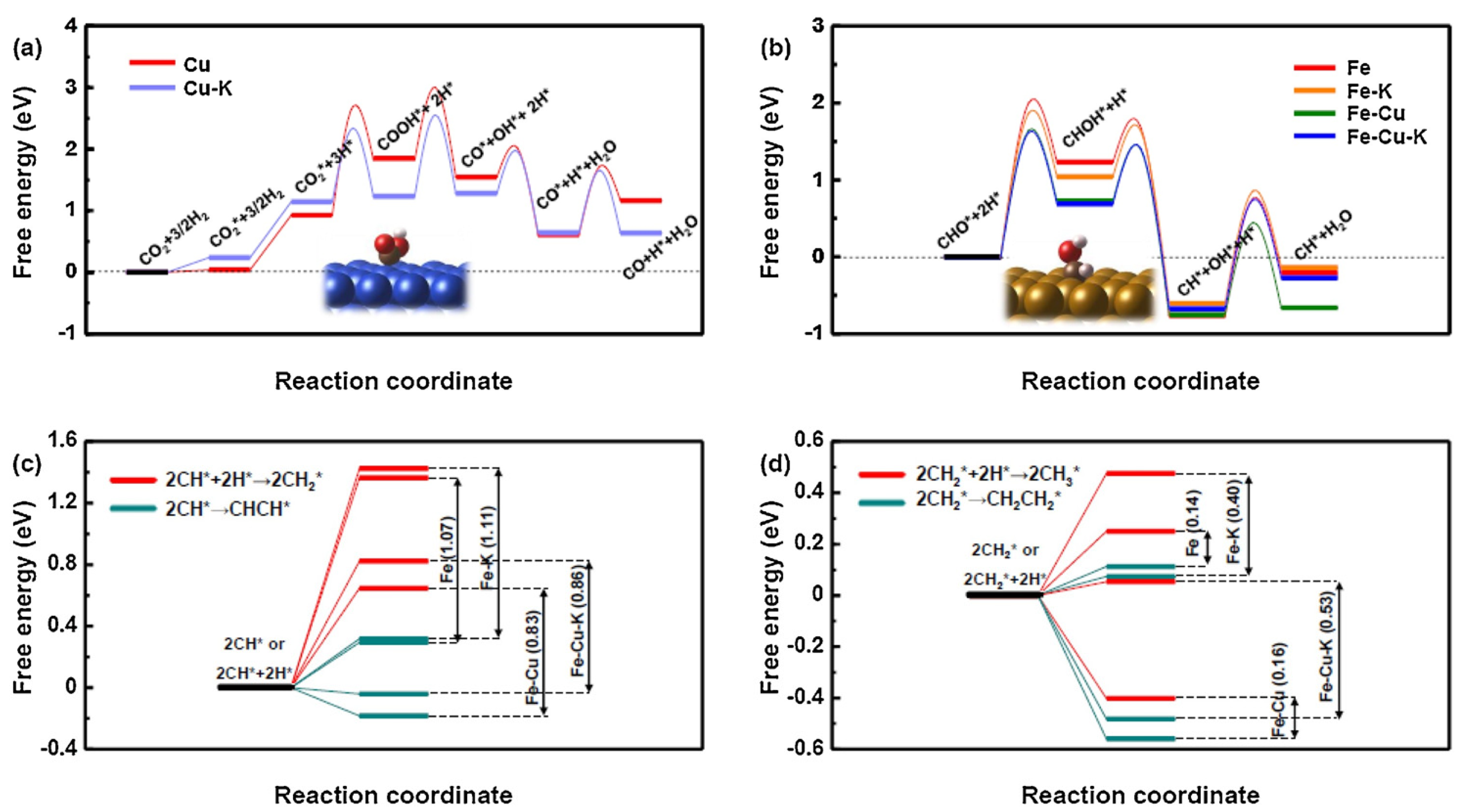 Molecules 29 01194 g010
