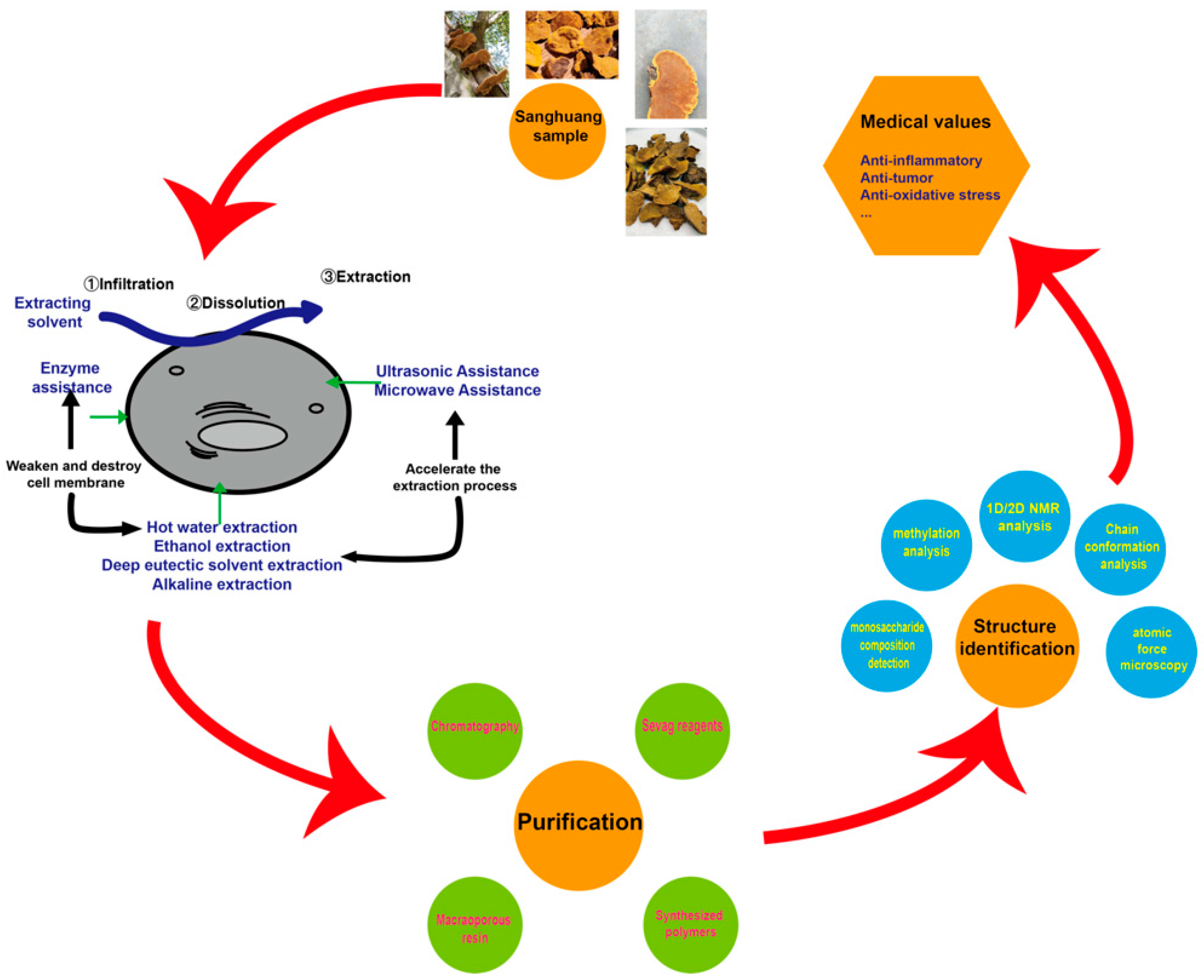 Molecules 29 01195 g004