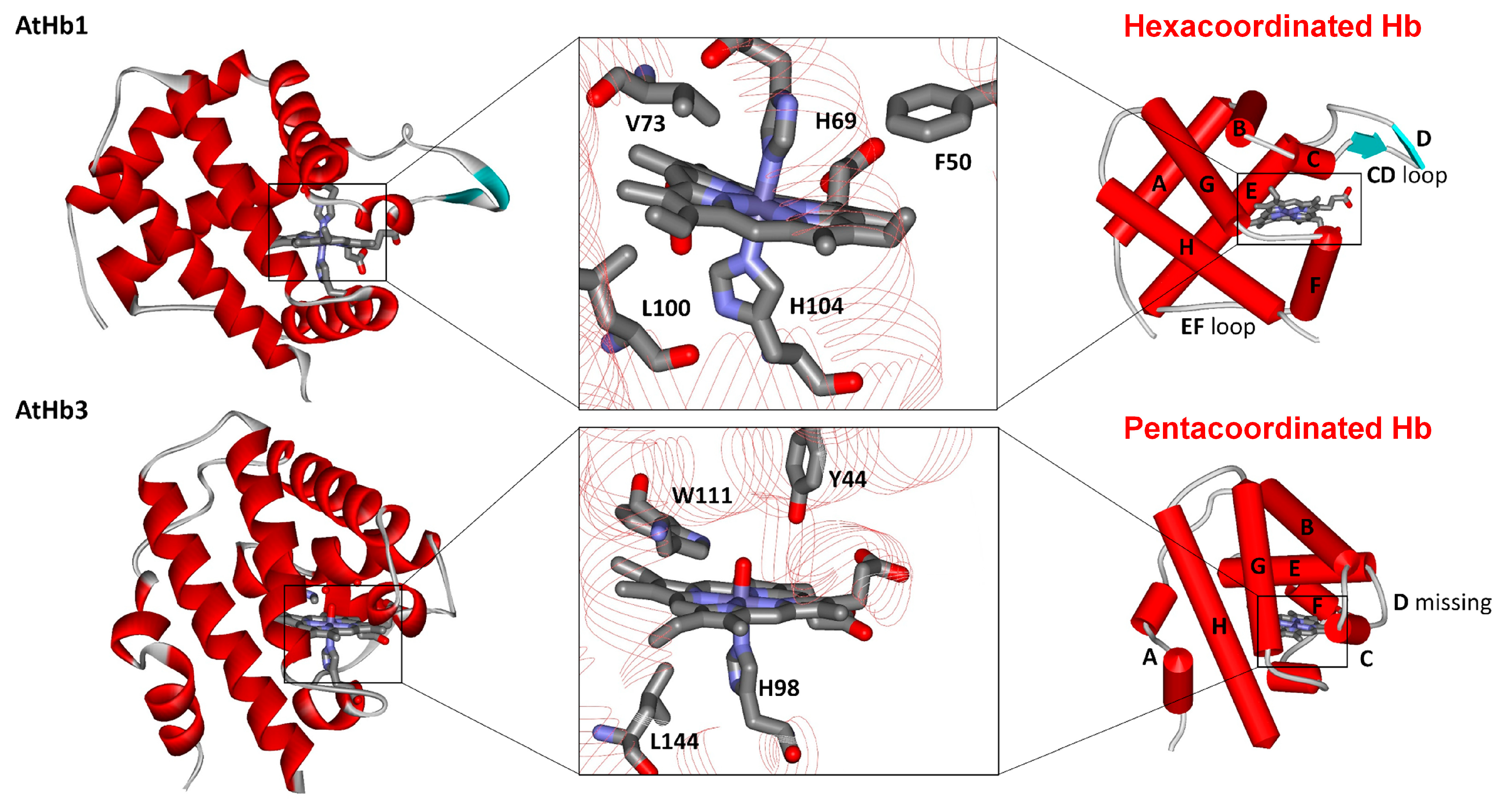 Molecules 29 01200 g001