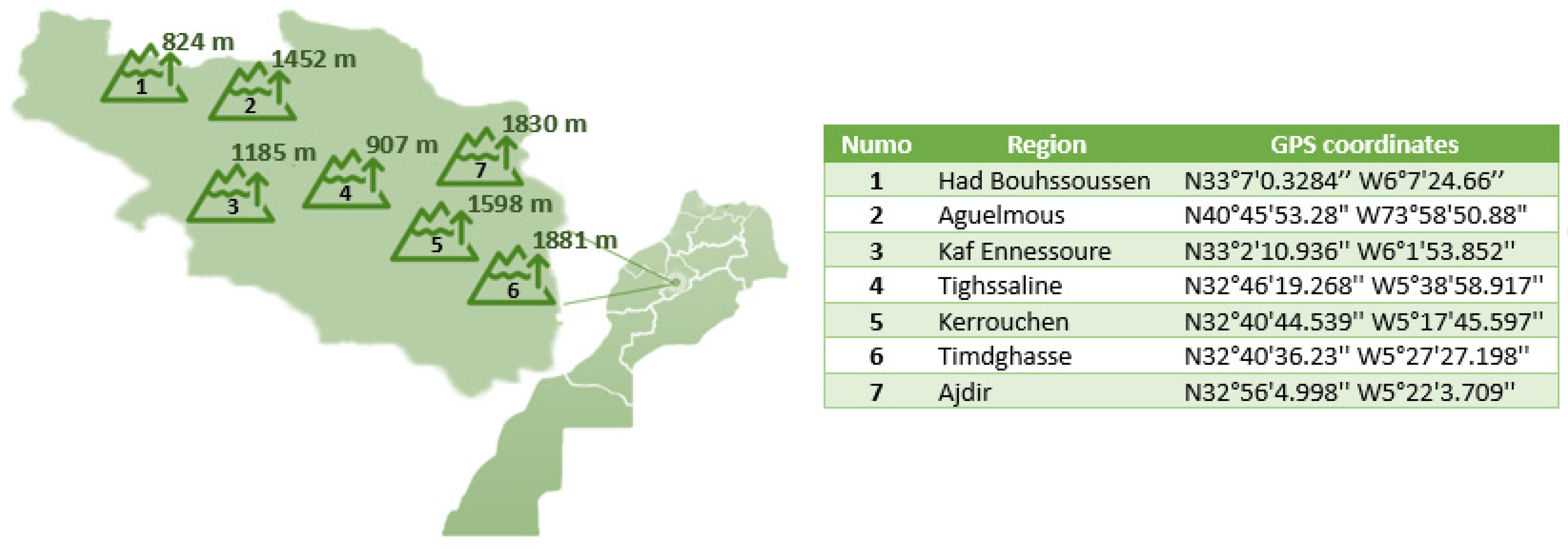 Molecules 29 01205 g007
