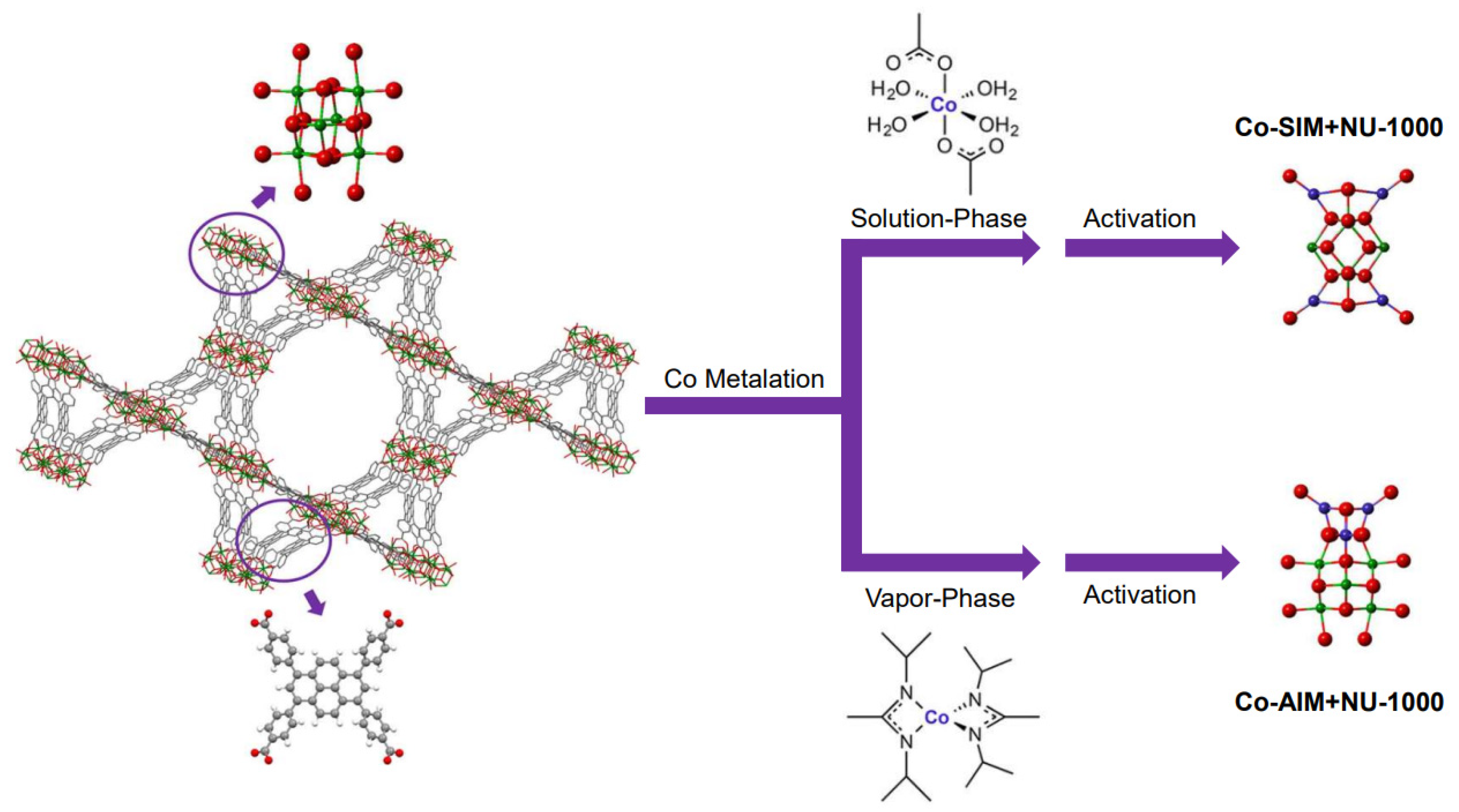Molecules 29 01212 g004