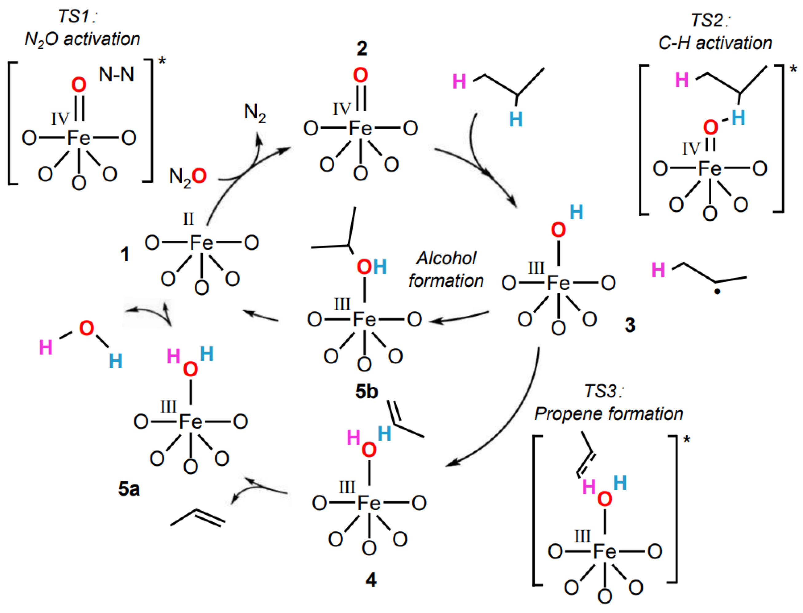 Molecules 29 01212 g006