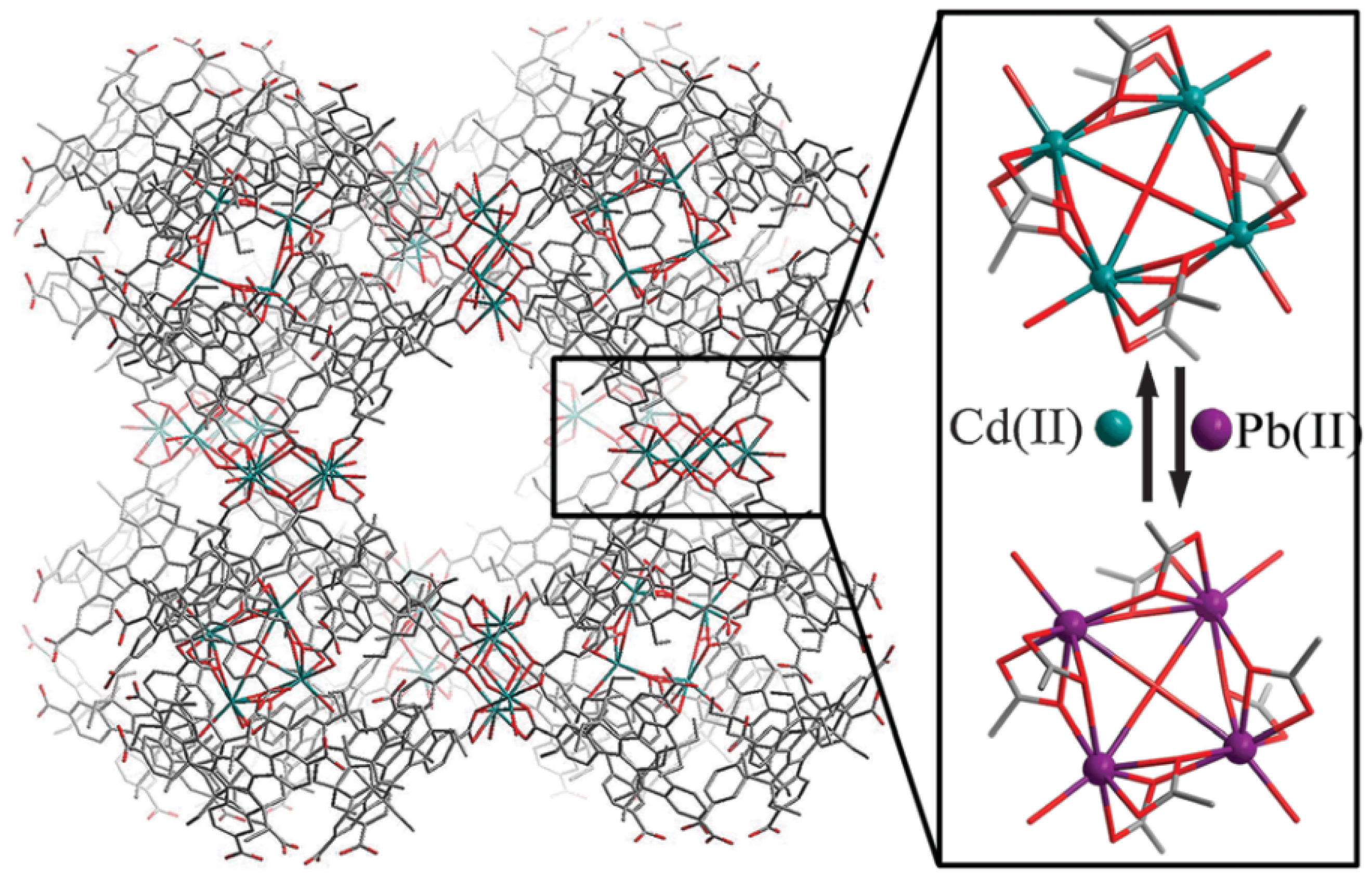 Molecules 29 01212 g012