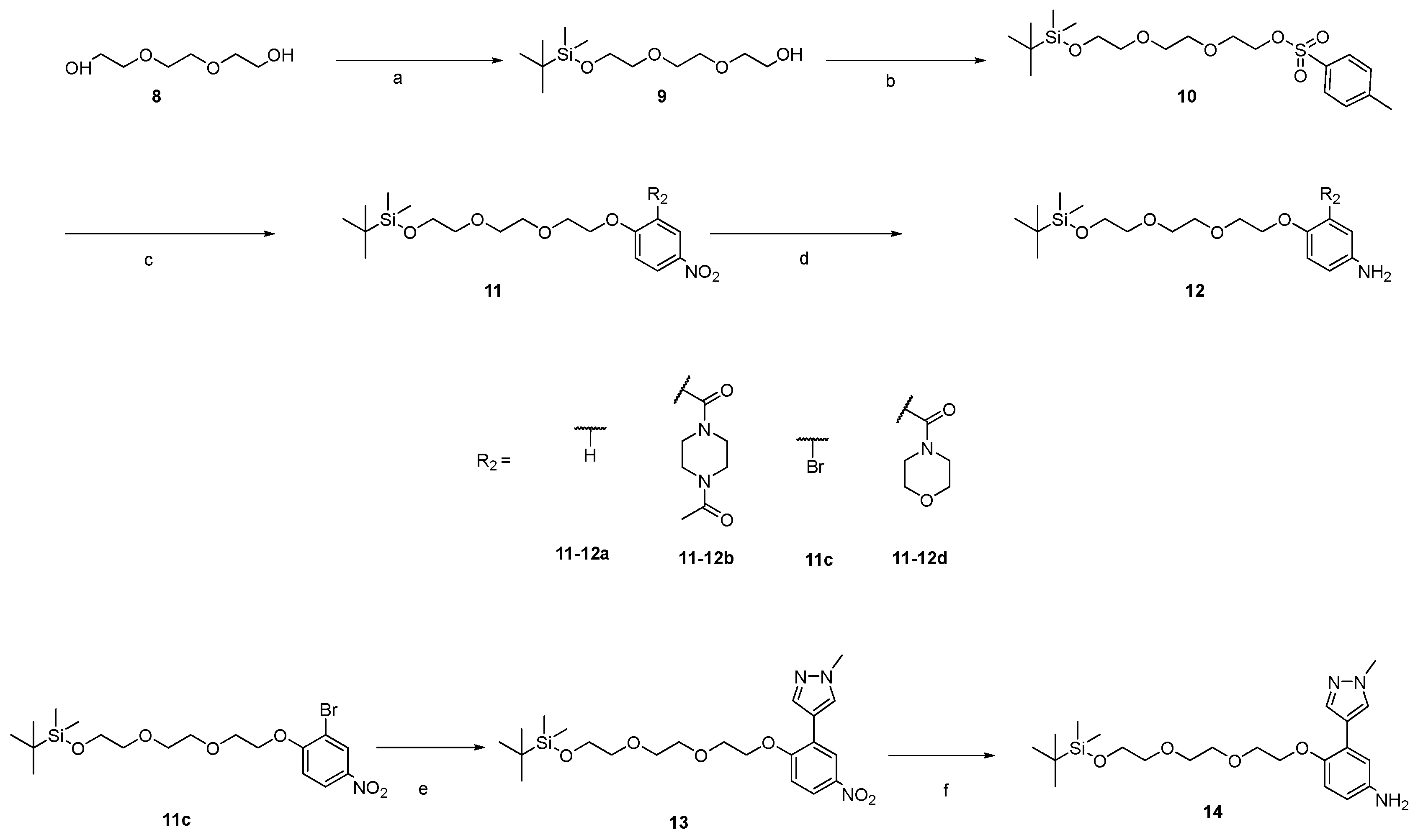 Molecules 29 01224 sch002