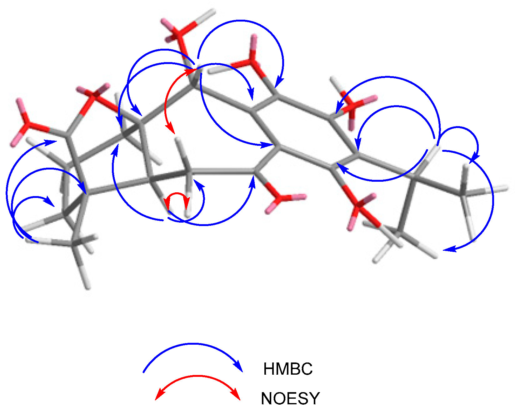 Molecules 29 01226 g002
