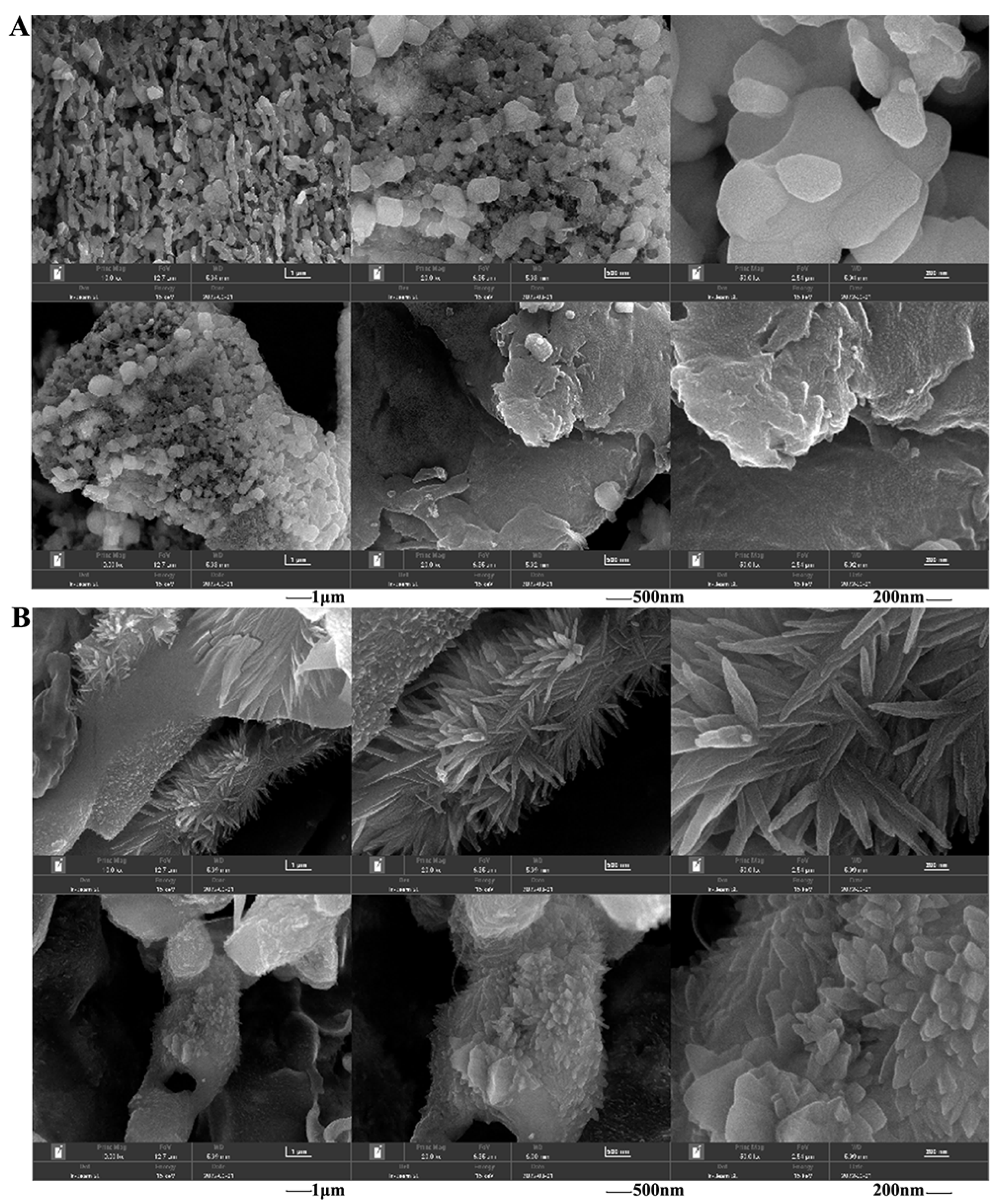 Molecules 29 01238 g007