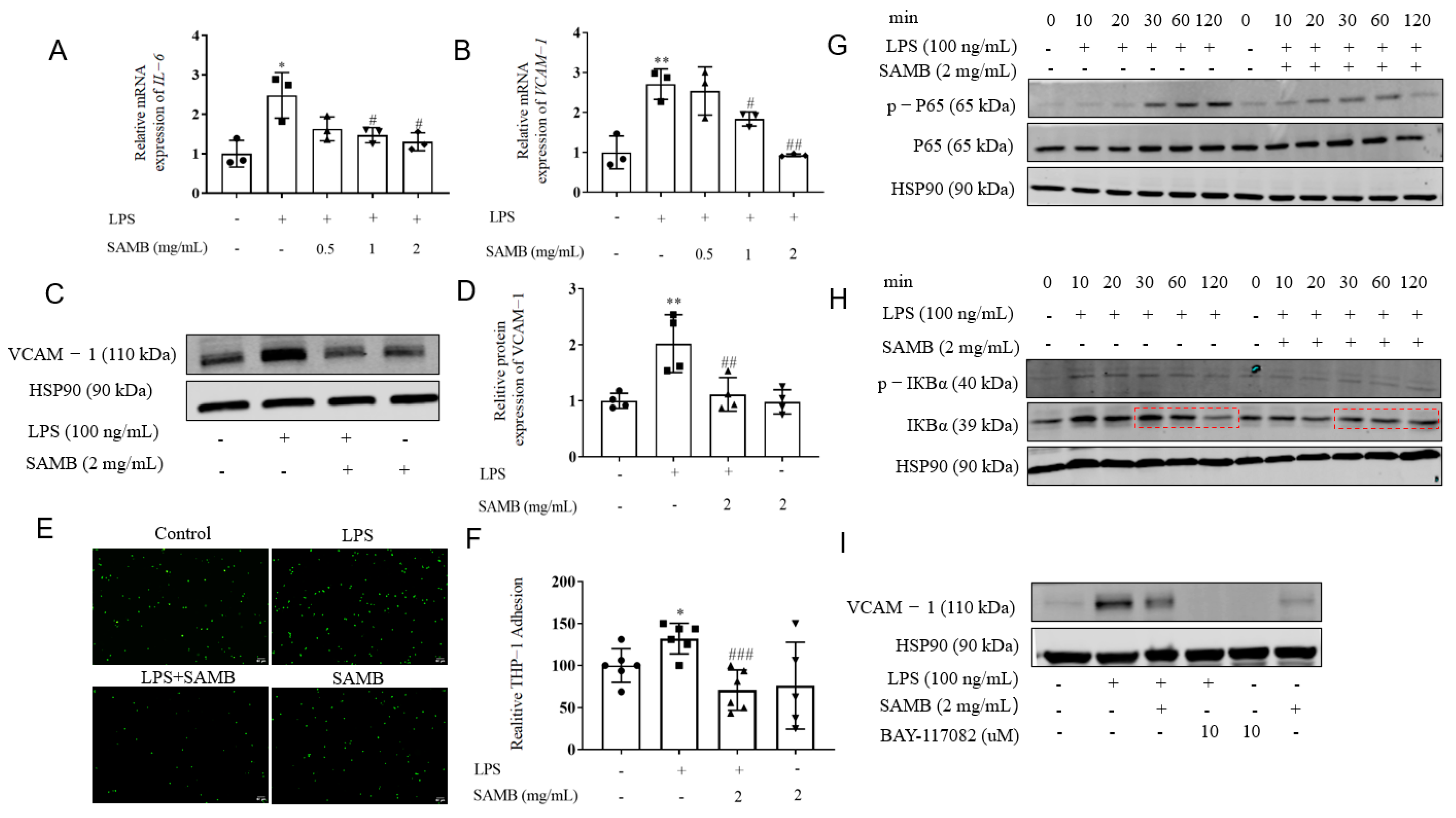Molecules 29 01239 g002