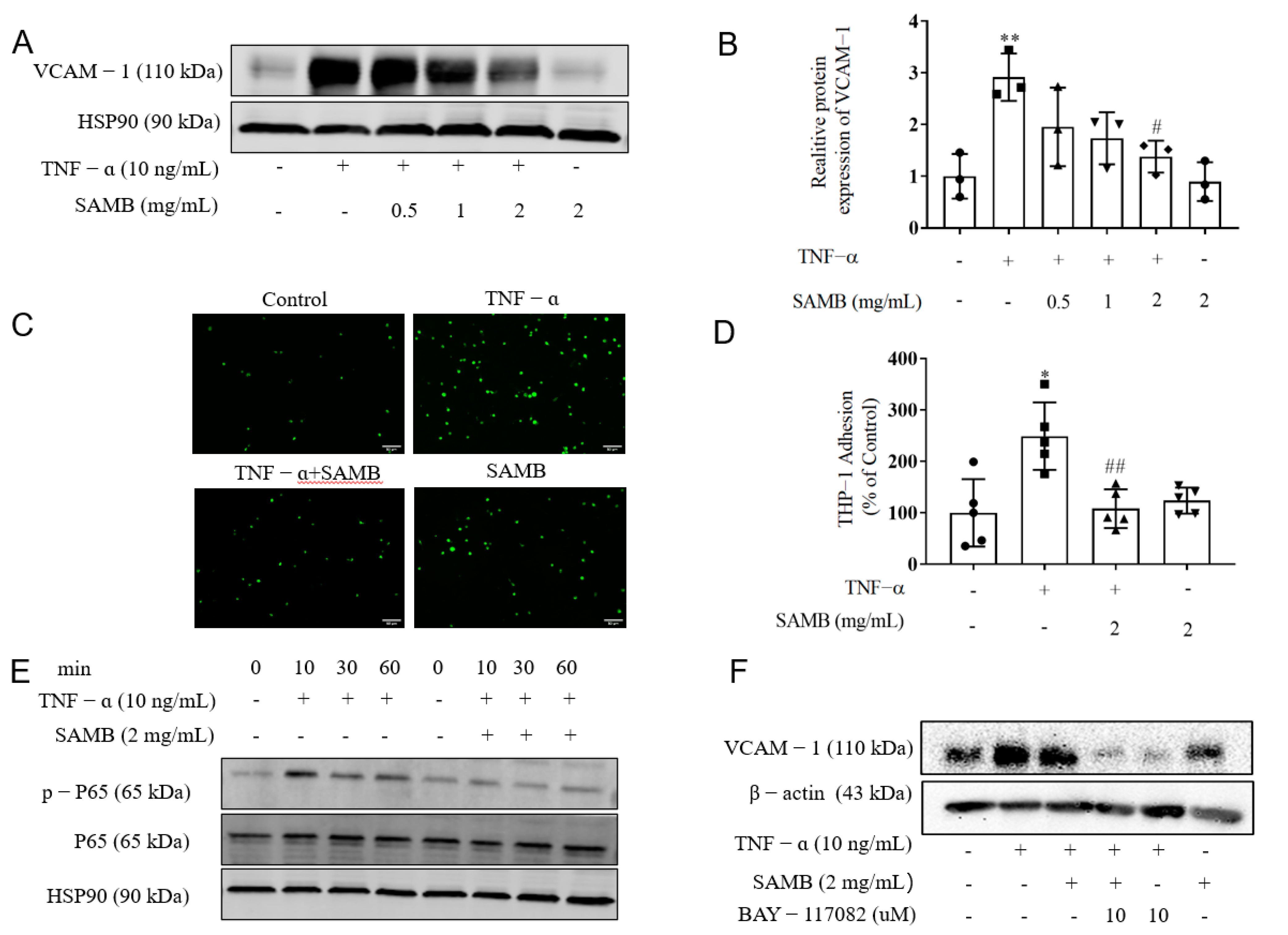 Molecules 29 01239 g003