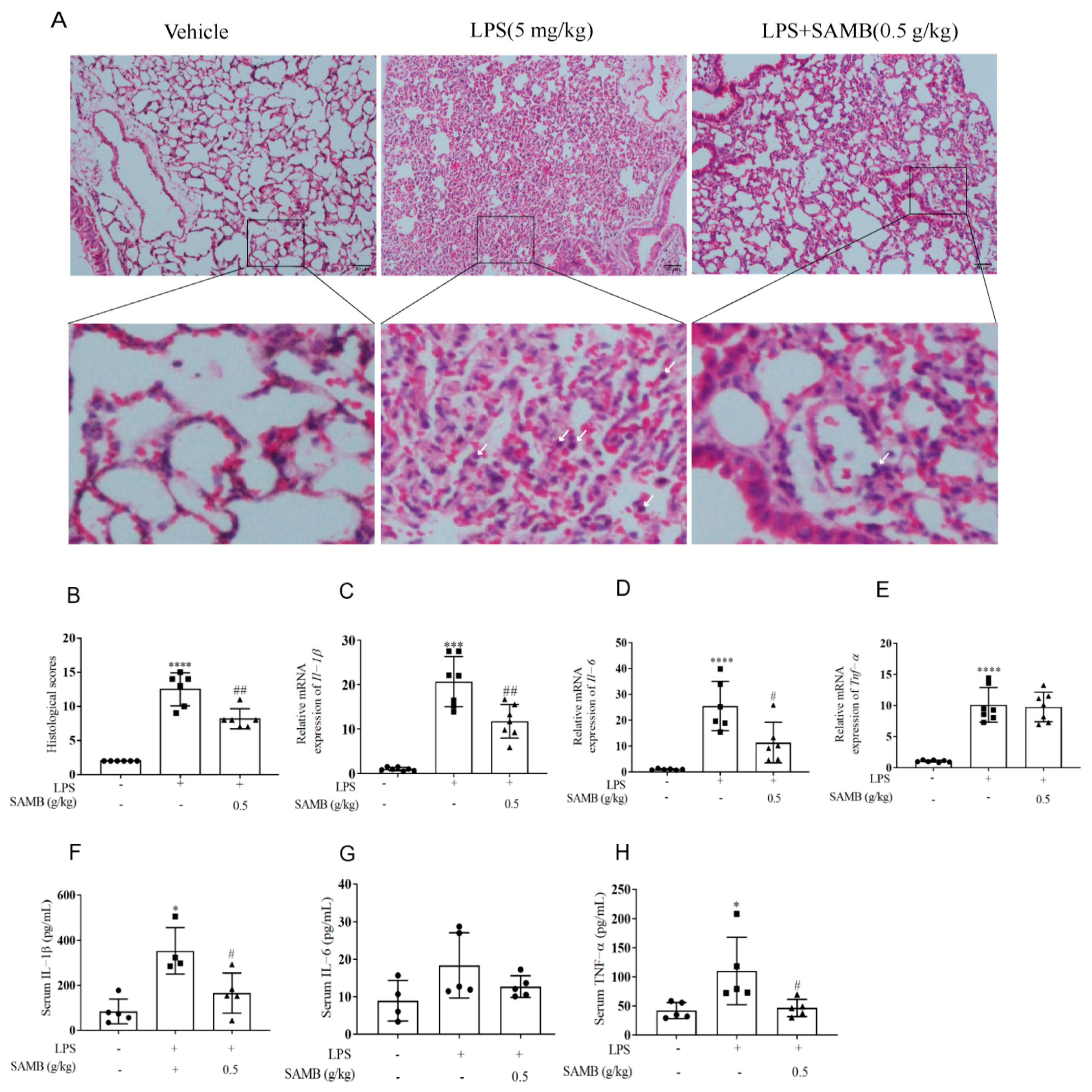 Molecules 29 01239 g004