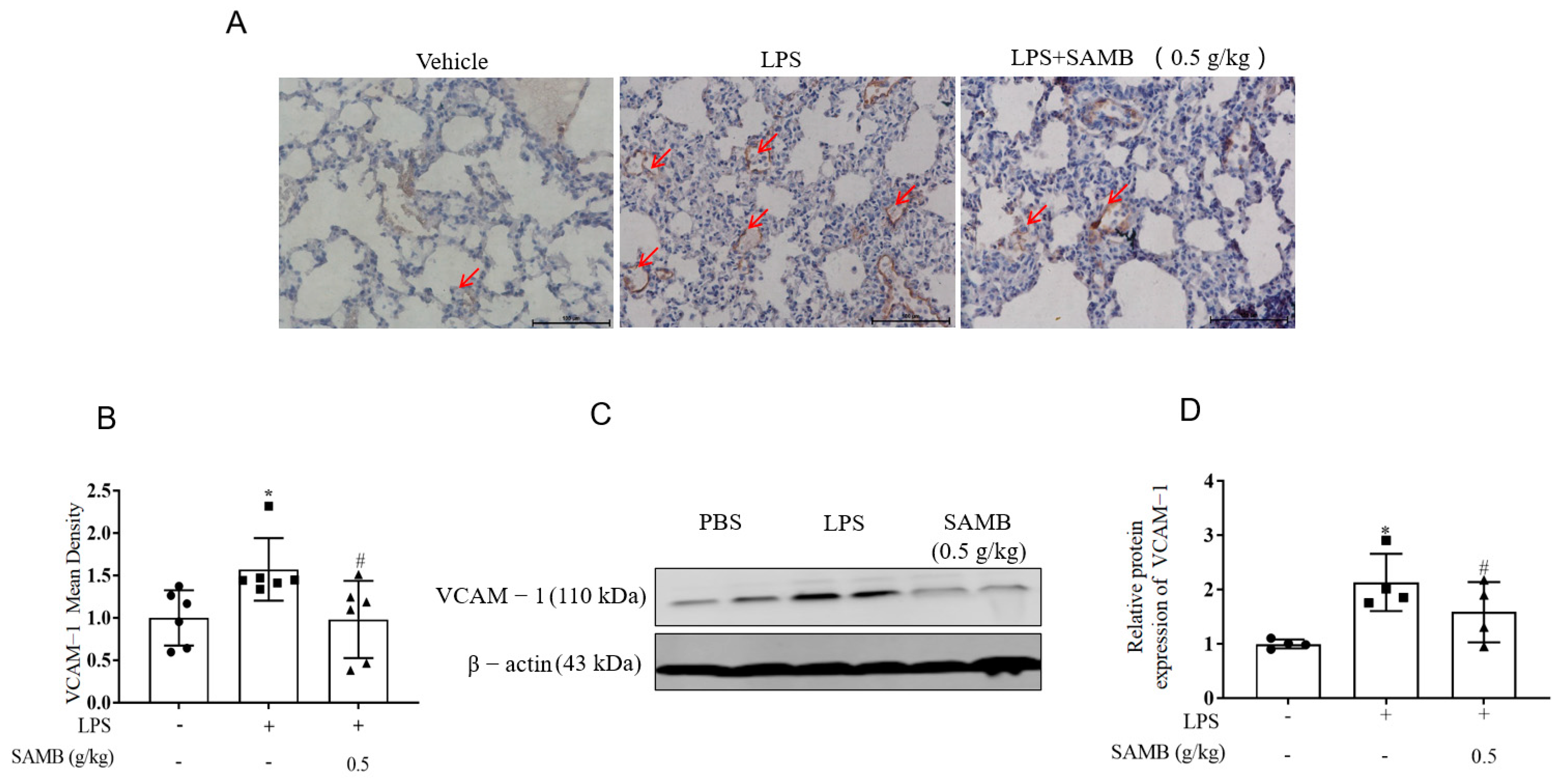 Molecules 29 01239 g005