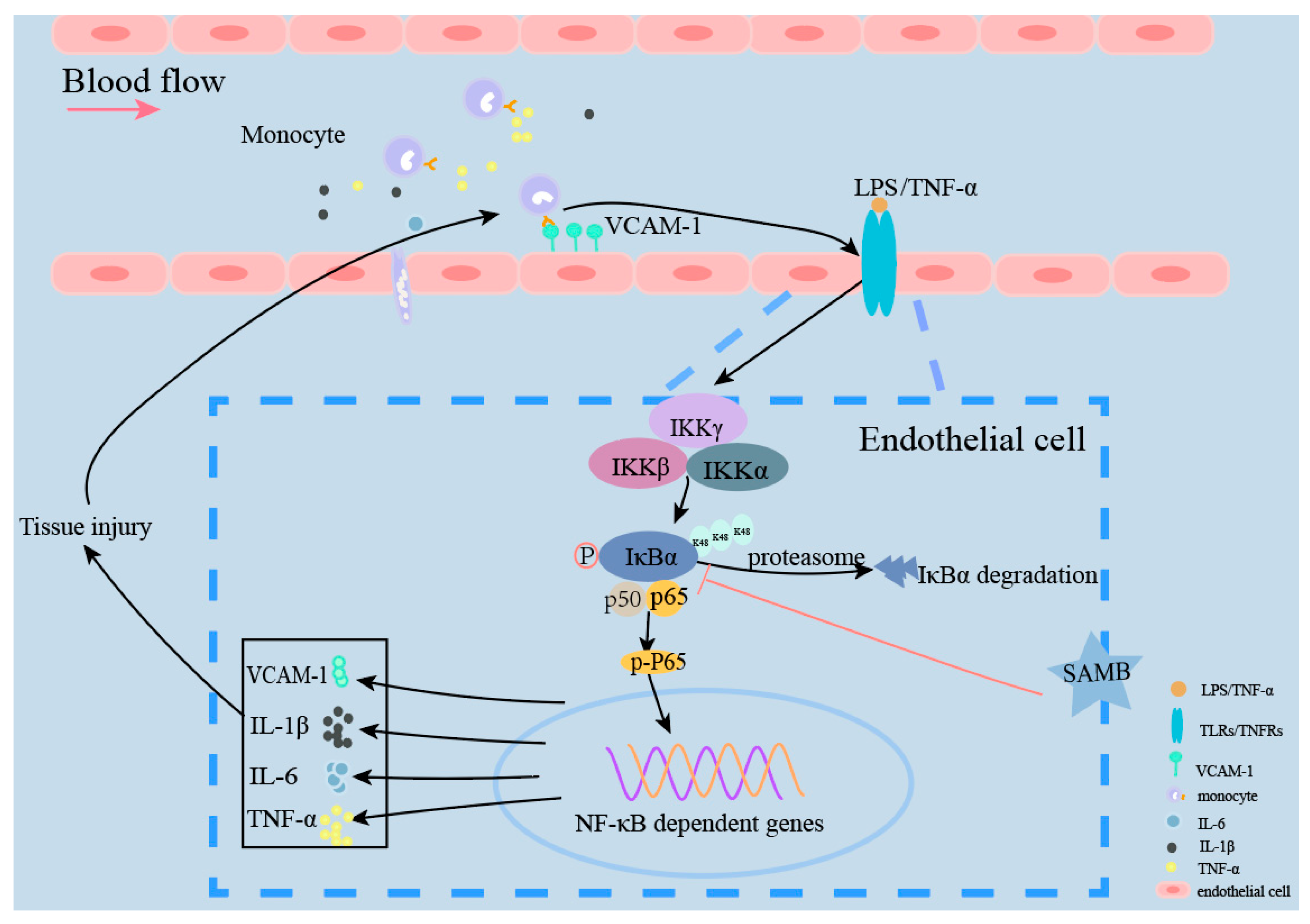 Molecules 29 01239 g006