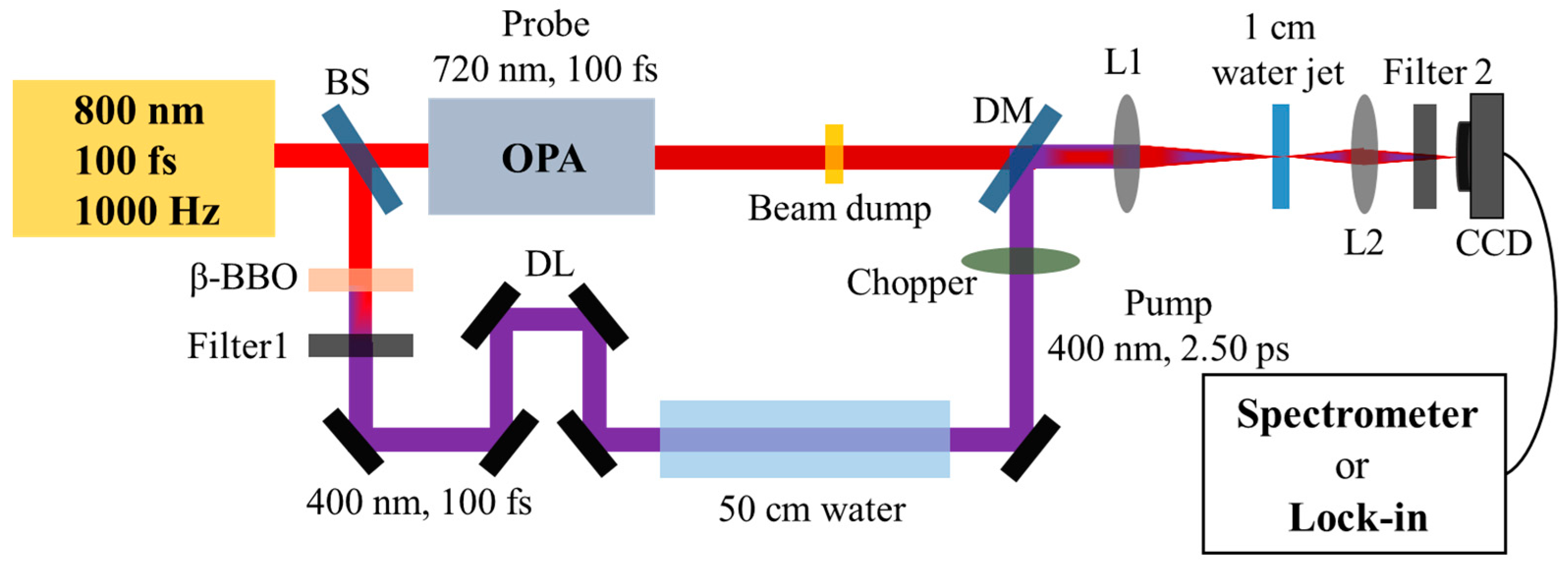 Molecules 29 01245 g004 Molecules 29 01245 g004