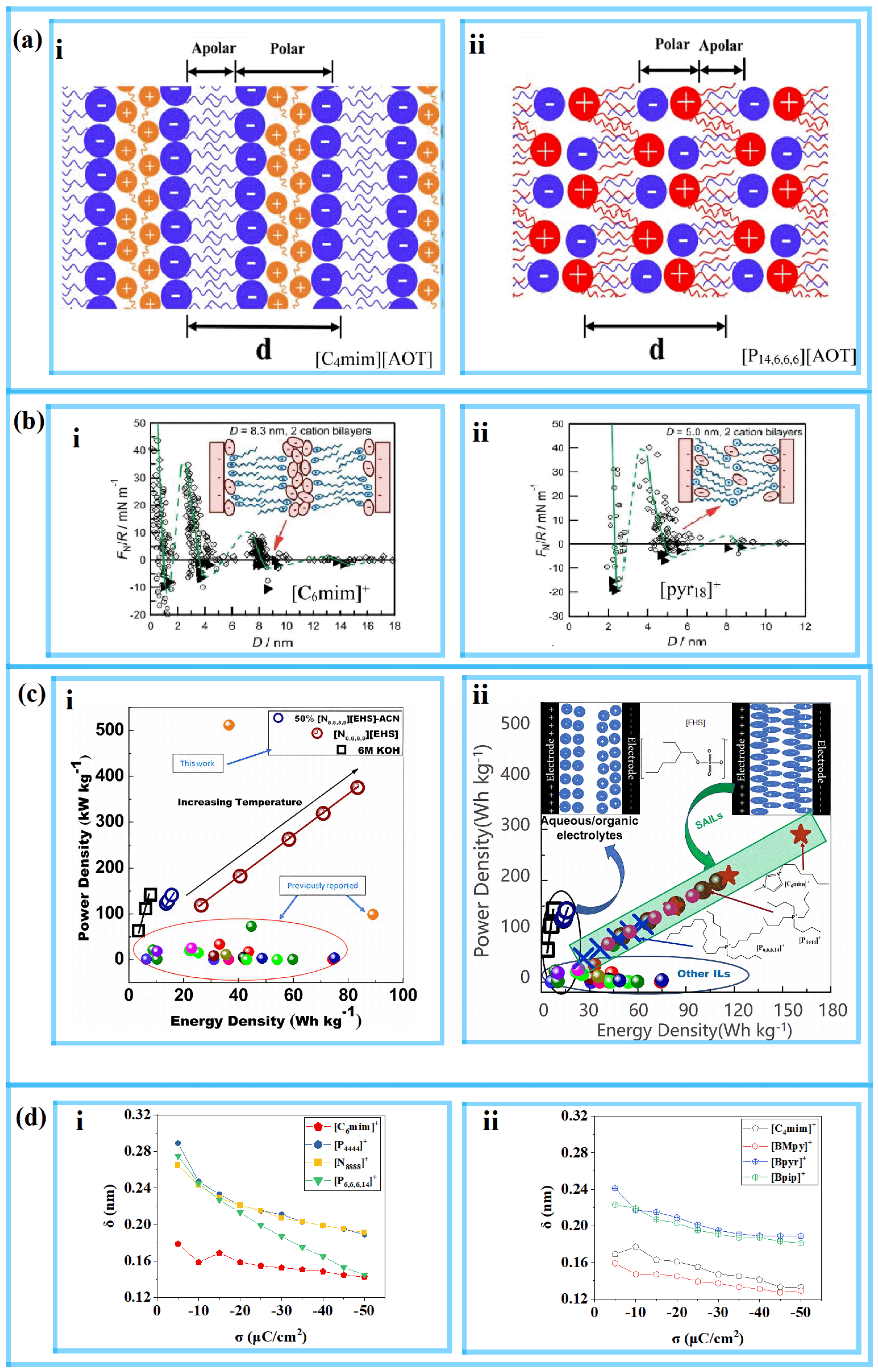 Molecules 29 01246 g003