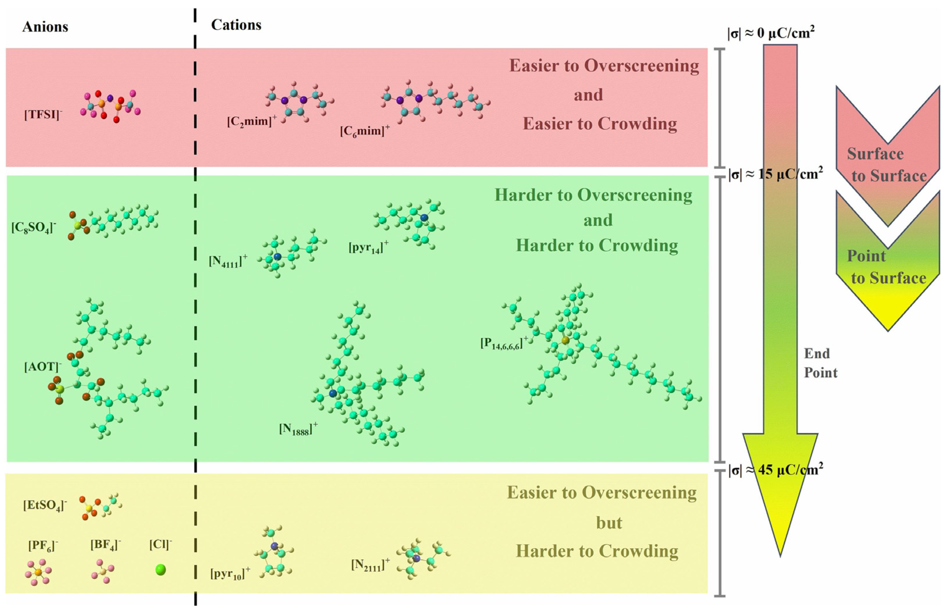 Molecules 29 01246 g005