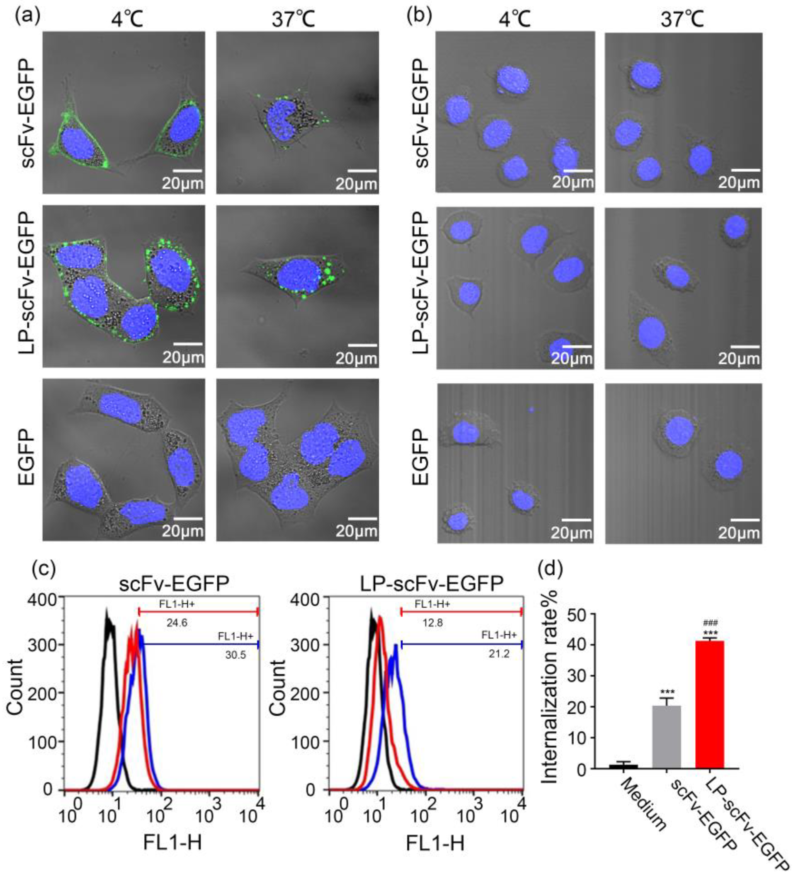 Molecules 29 01247 g001