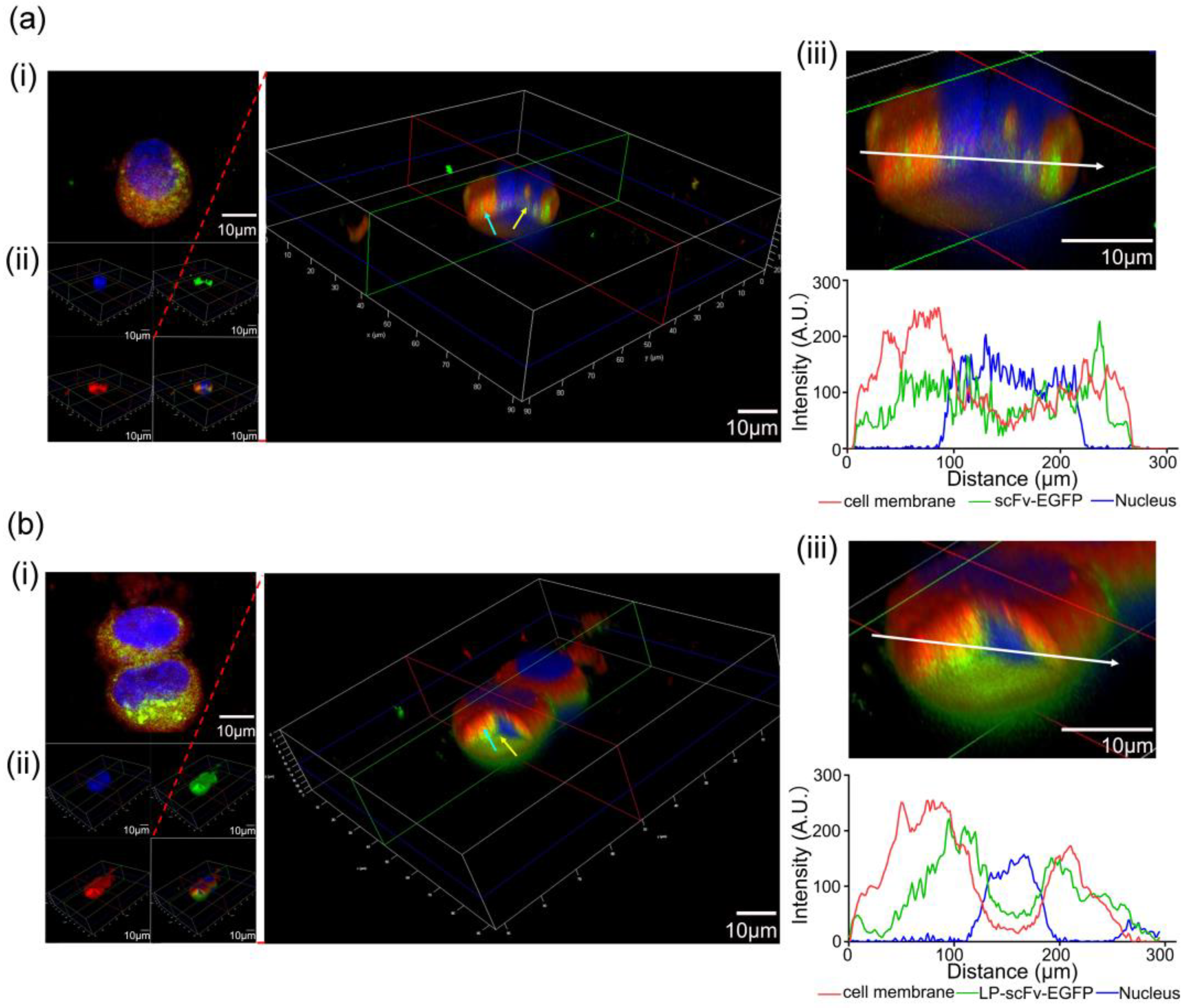 Molecules 29 01247 g002