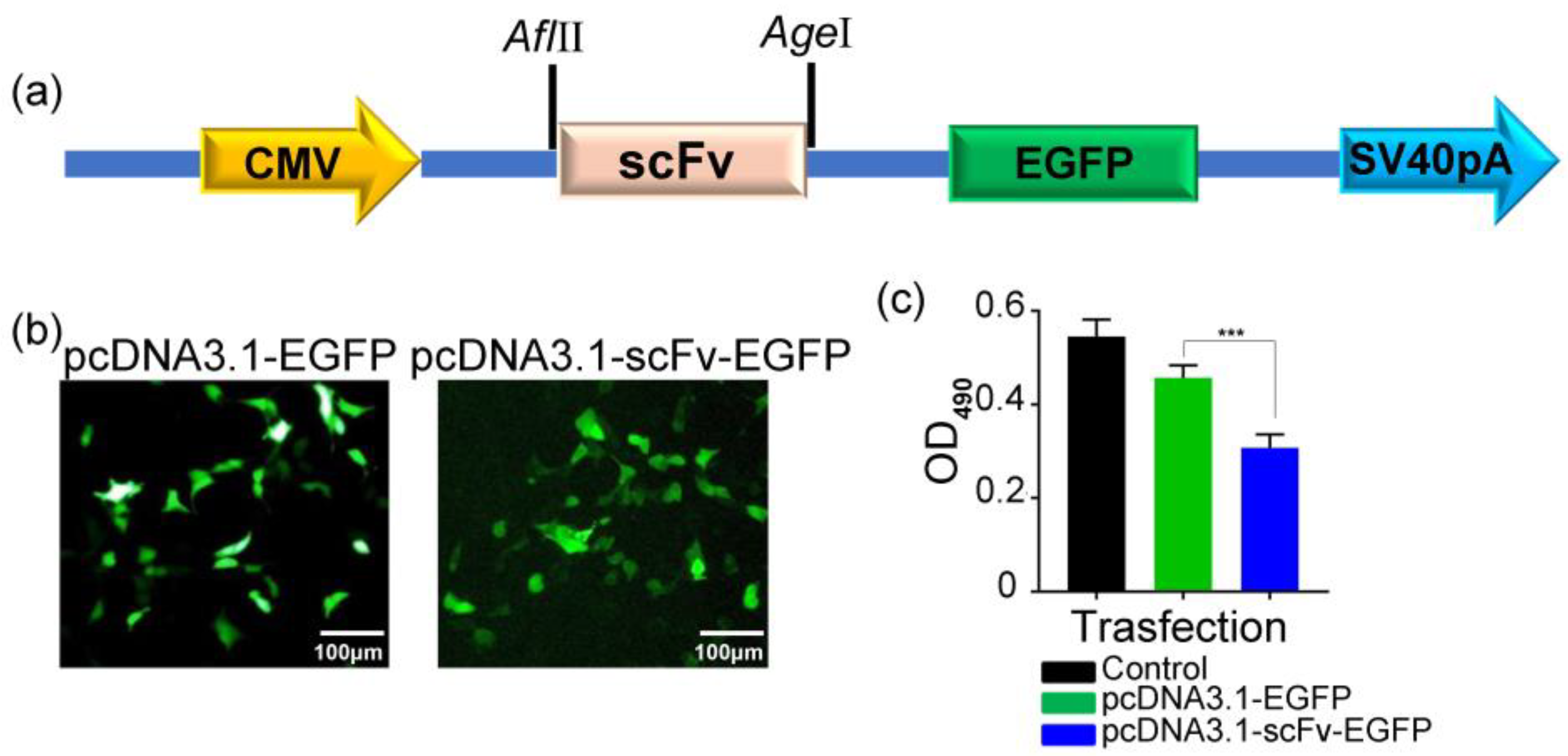 Molecules 29 01247 g004