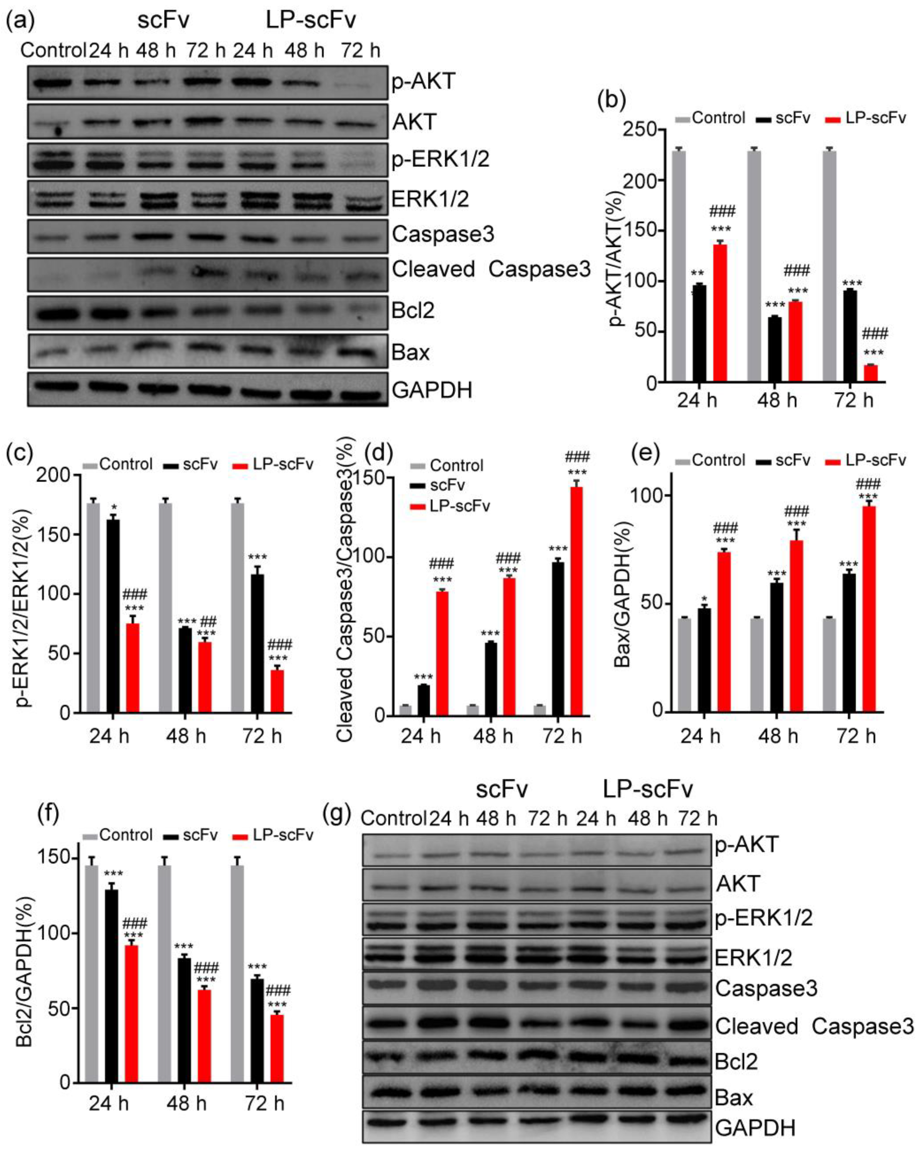 Molecules 29 01247 g005