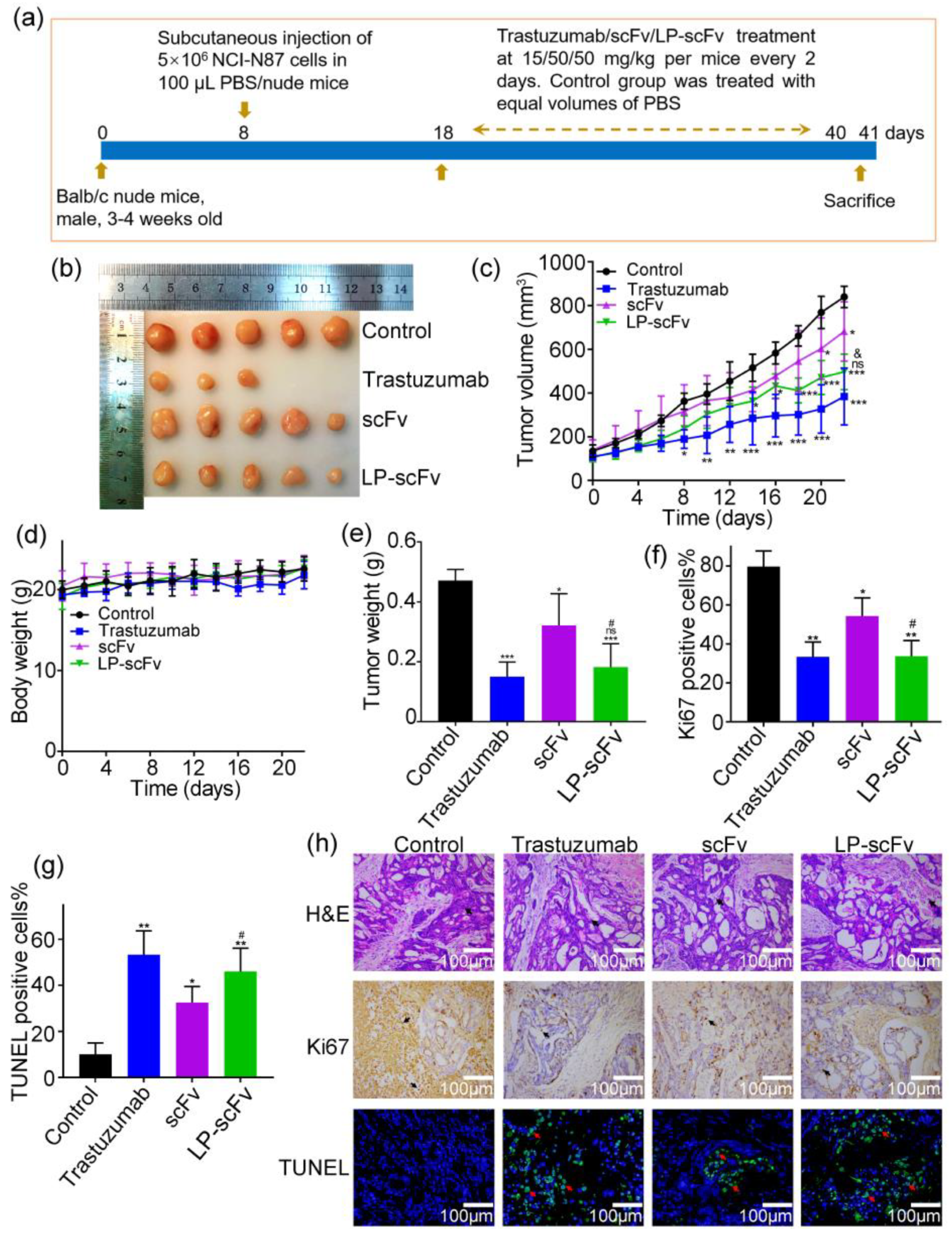 Molecules 29 01247 g006