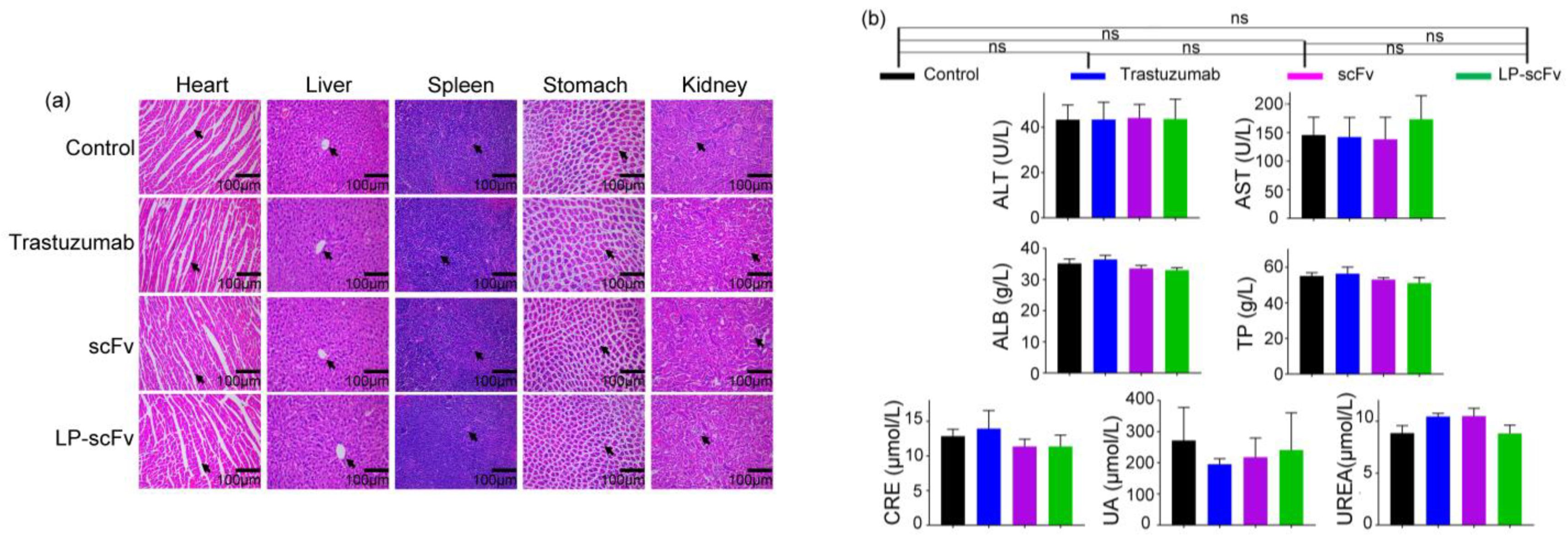 Molecules 29 01247 g007