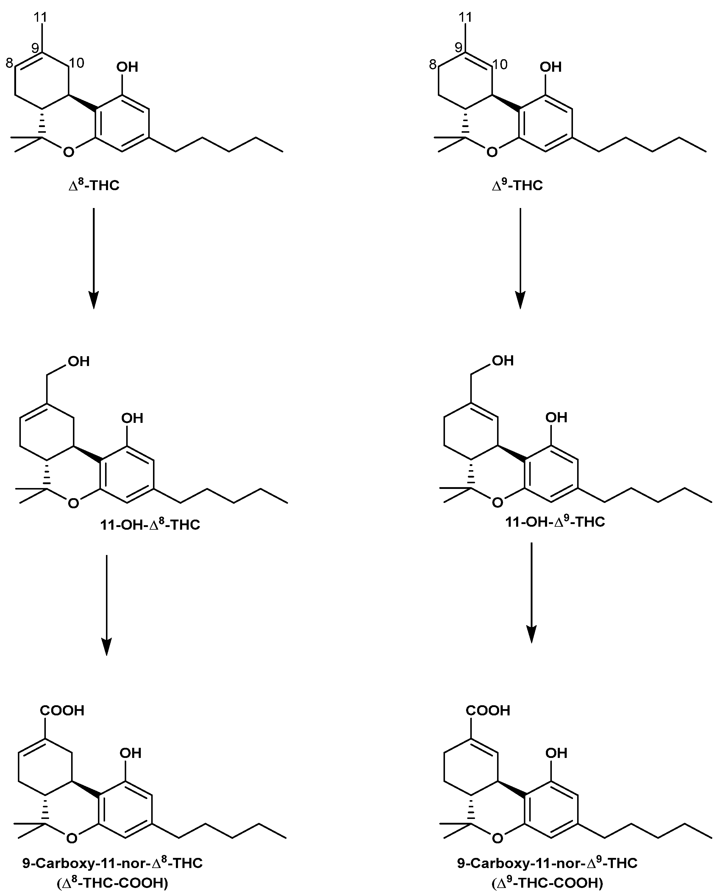 Molecules 29 01249 g007 Molecules 29 01249 g007