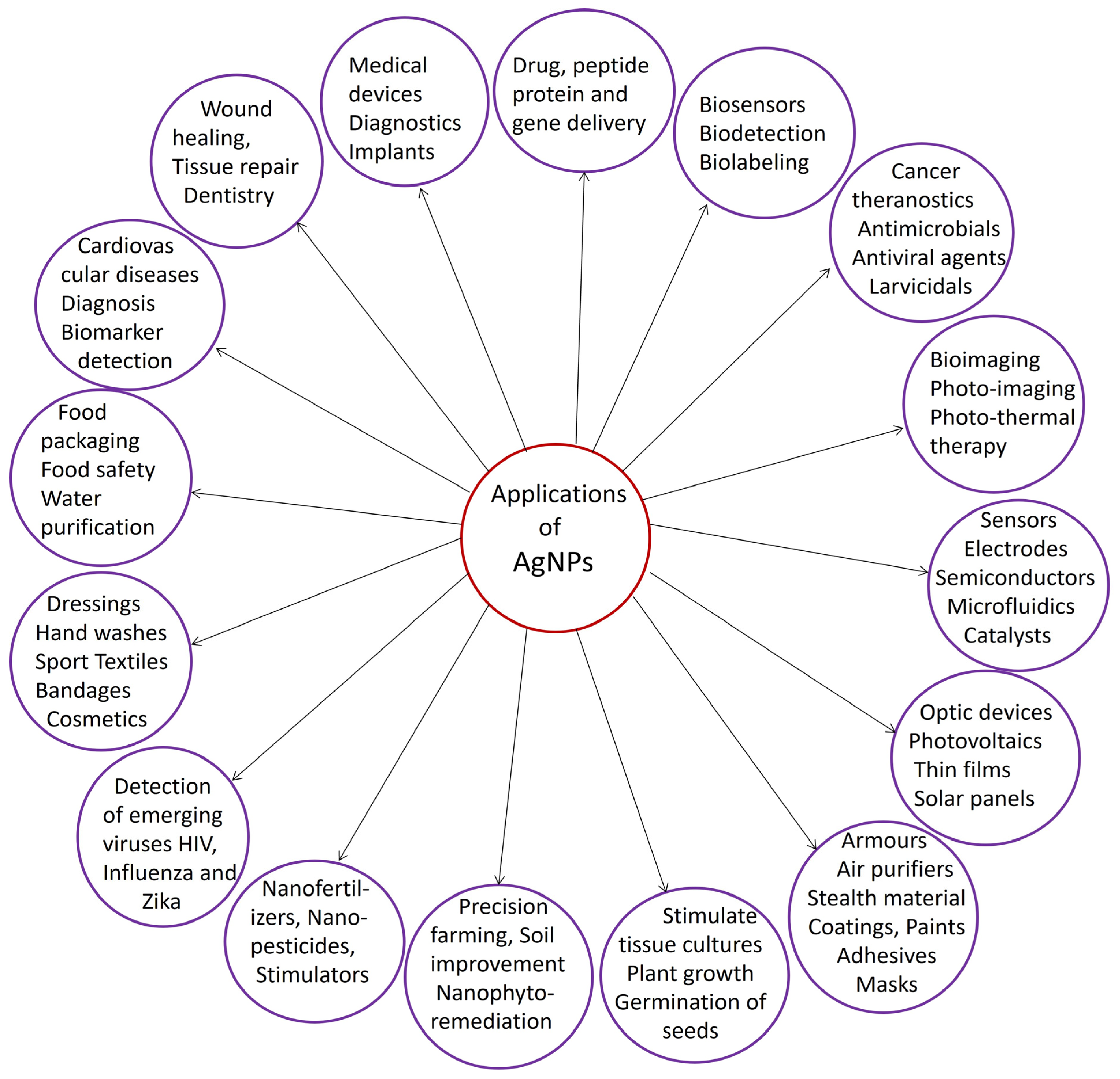 Molecules 29 01250 g001