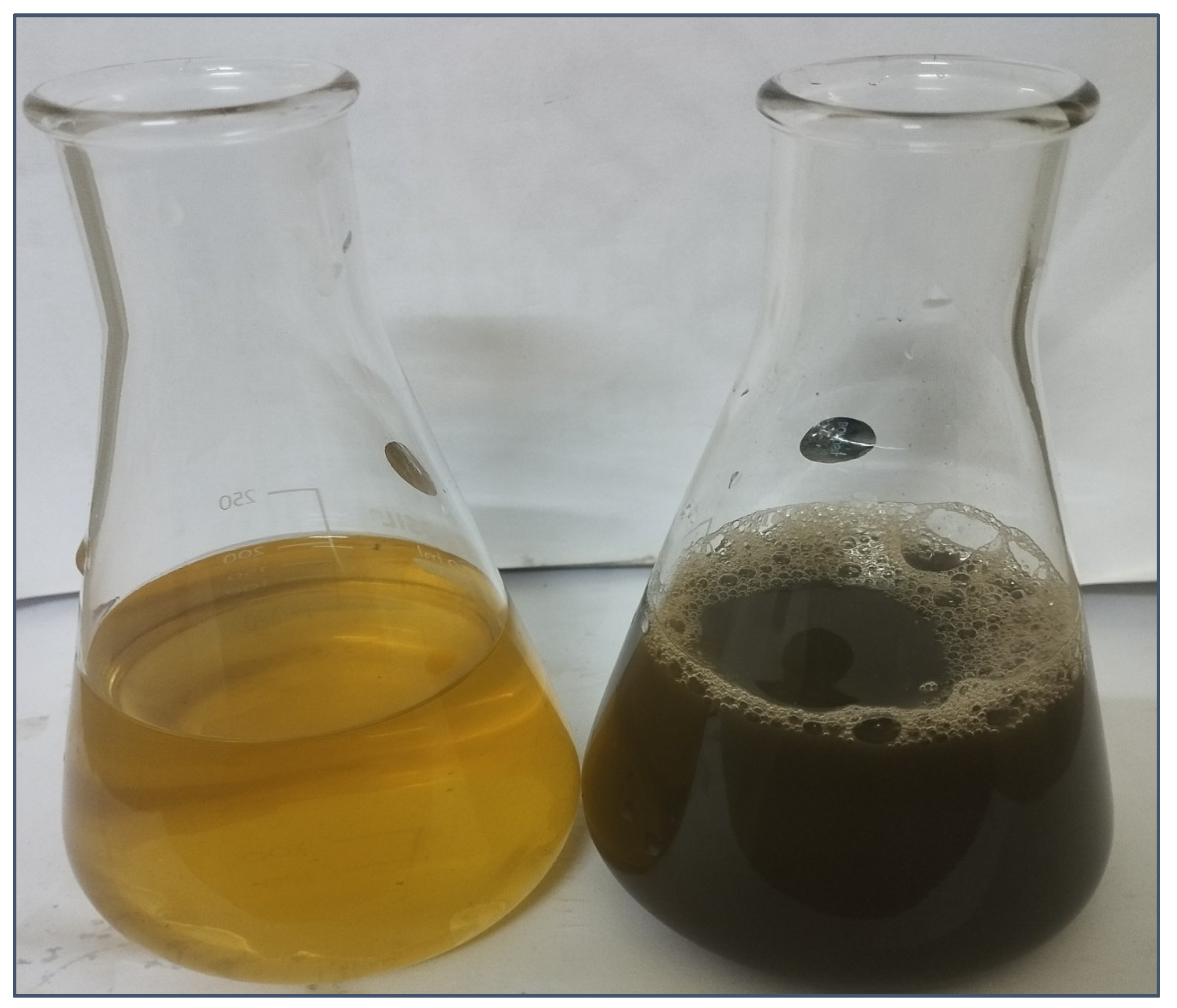 Rosmarinic Acid-Rich Perilla frutescens Extract-Derived