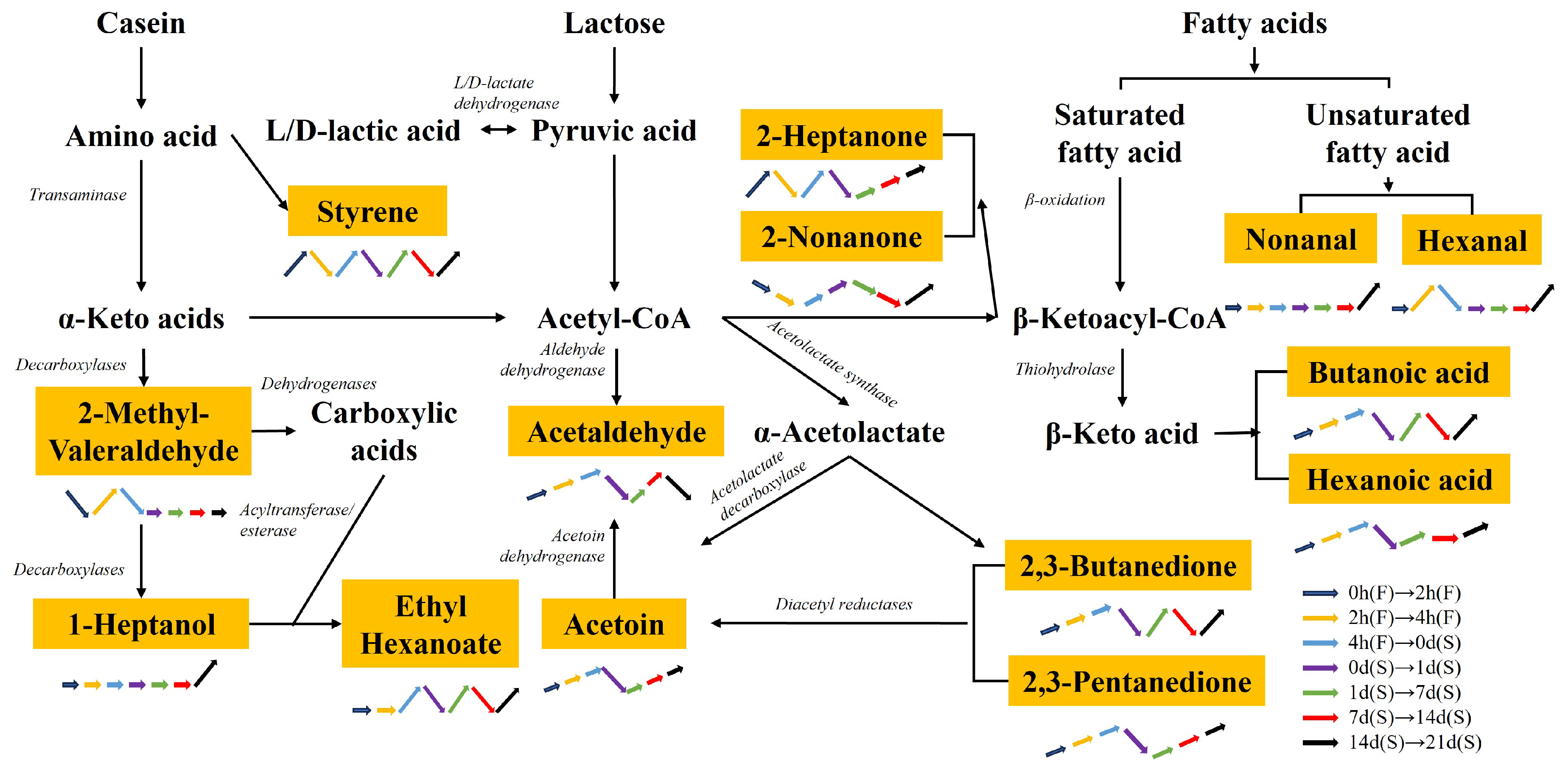 Molecules 29 01257 g005