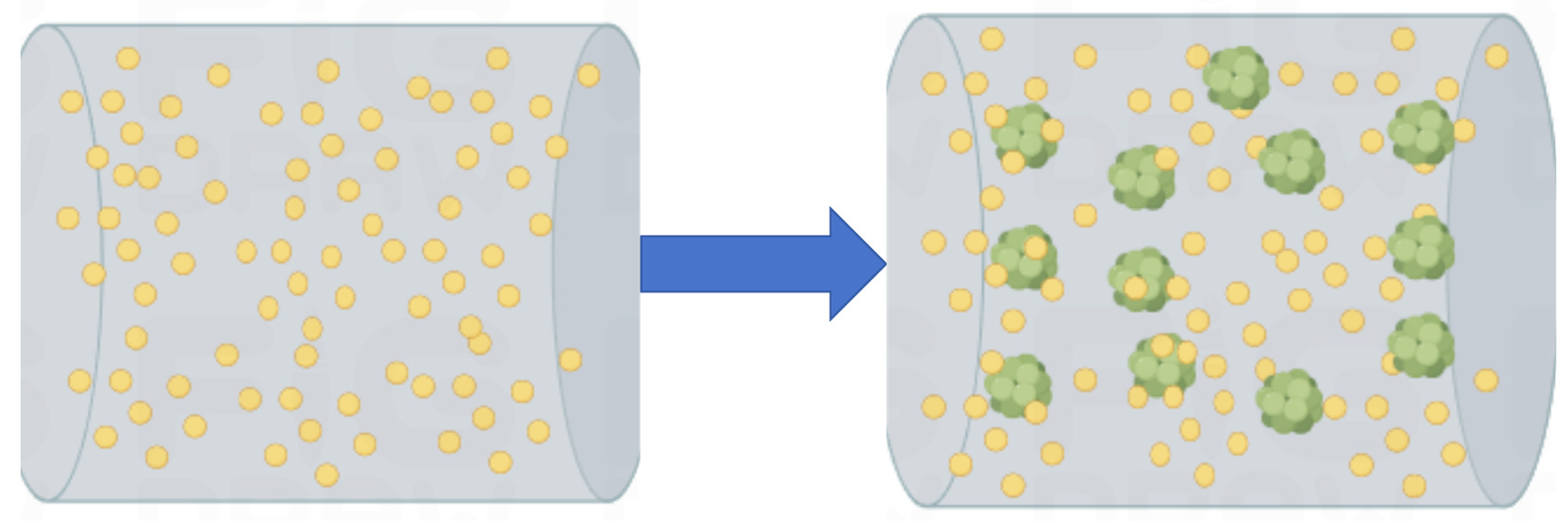Molecules 29 01260 g003