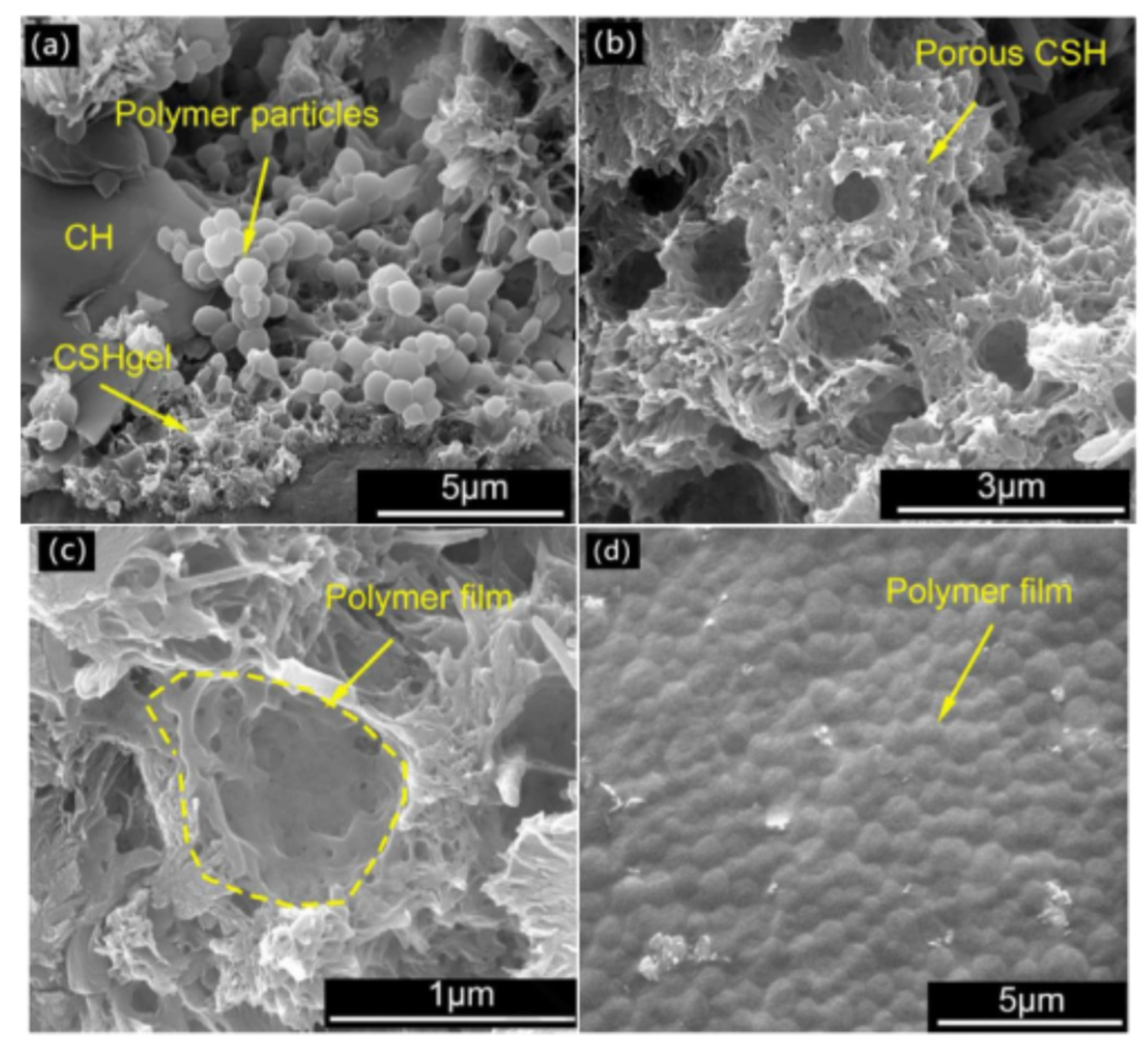 Molecules 29 01260 g005